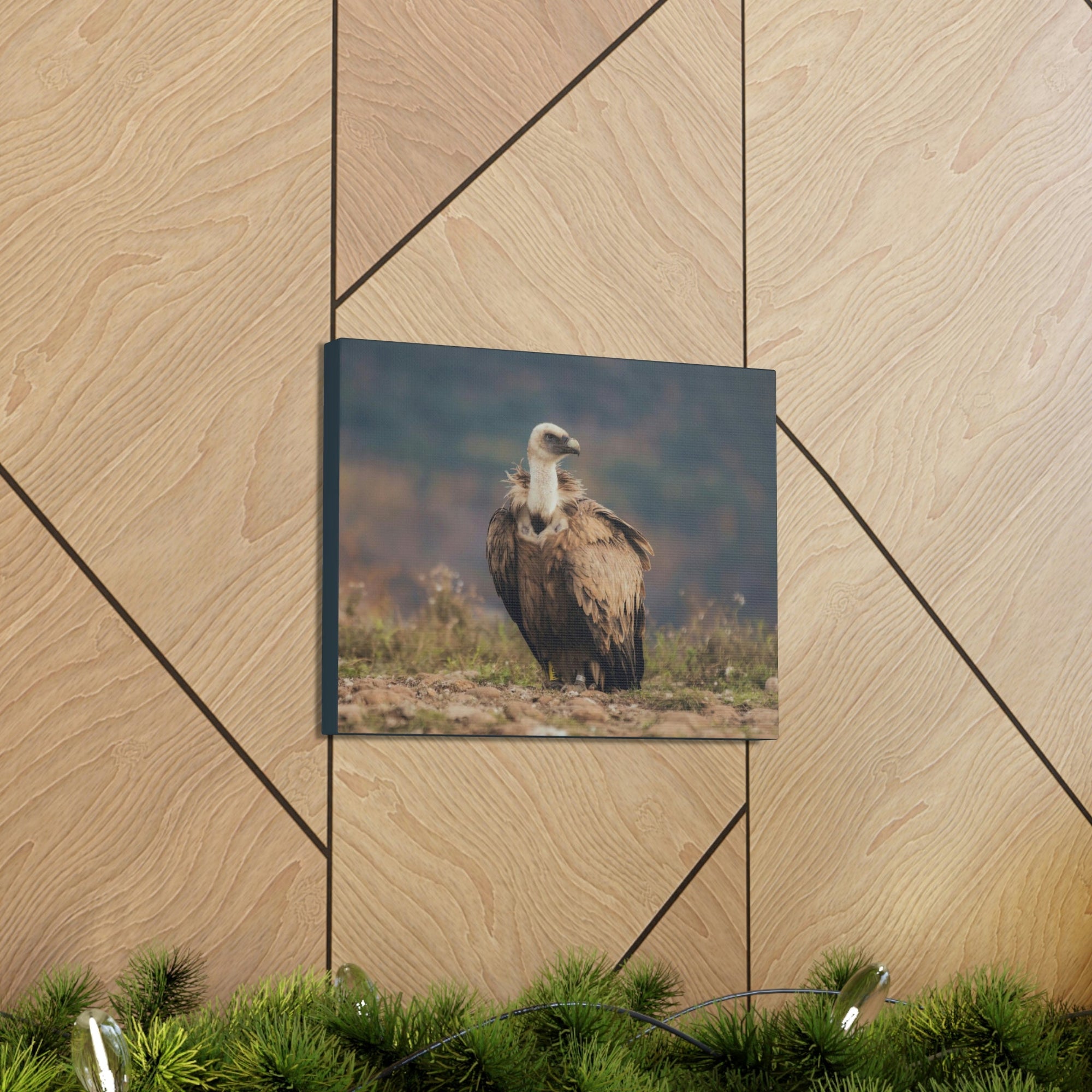 Scripture Walls Majestic Vulture Art Majestic Vulture Print Animal Wall Art Wildlife Canvas Prints Wall Art Ready to Hang Unframed-Express Your Love Gifts