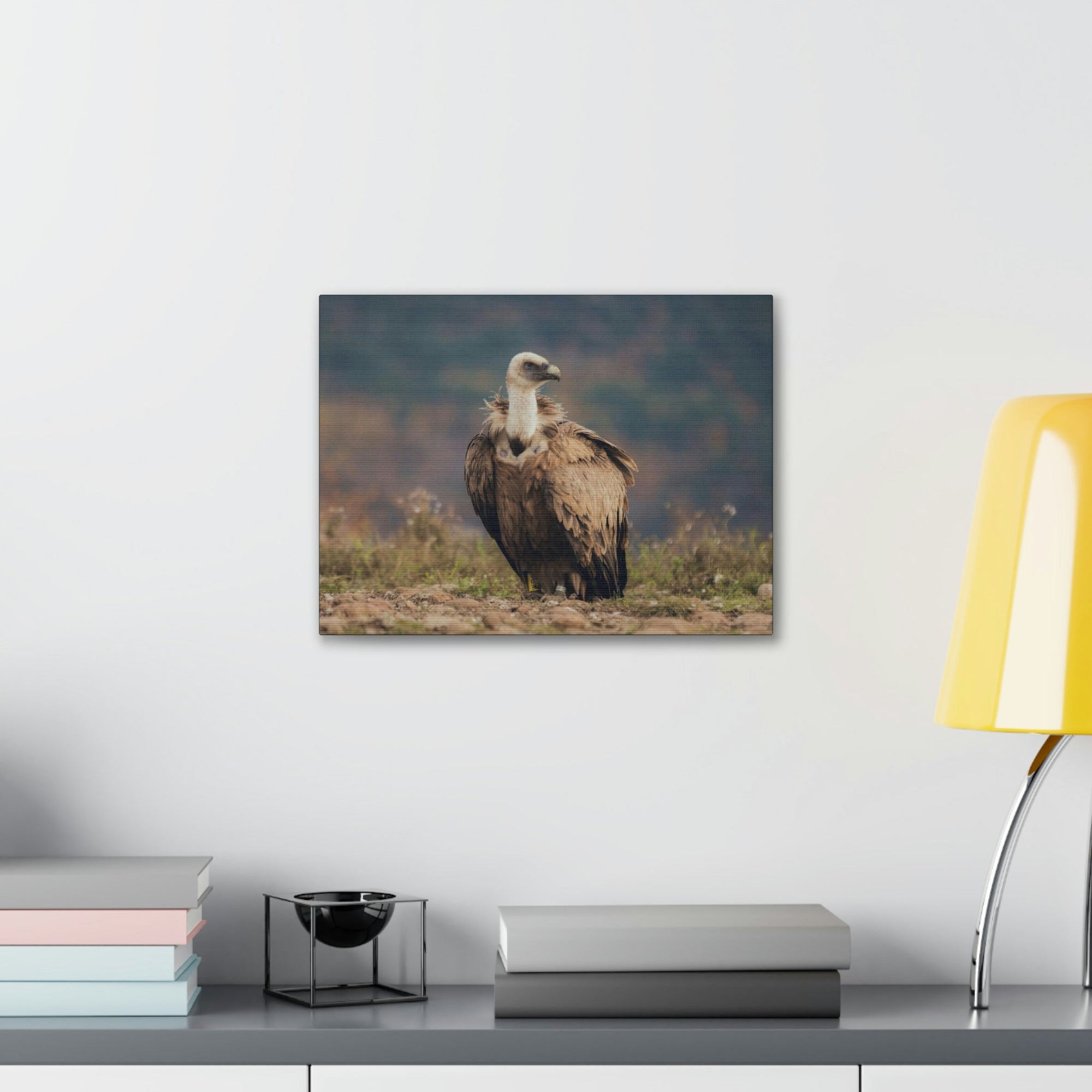 Scripture Walls Majestic Vulture Art Majestic Vulture Print Animal Wall Art Wildlife Canvas Prints Wall Art Ready to Hang Unframed-Express Your Love Gifts