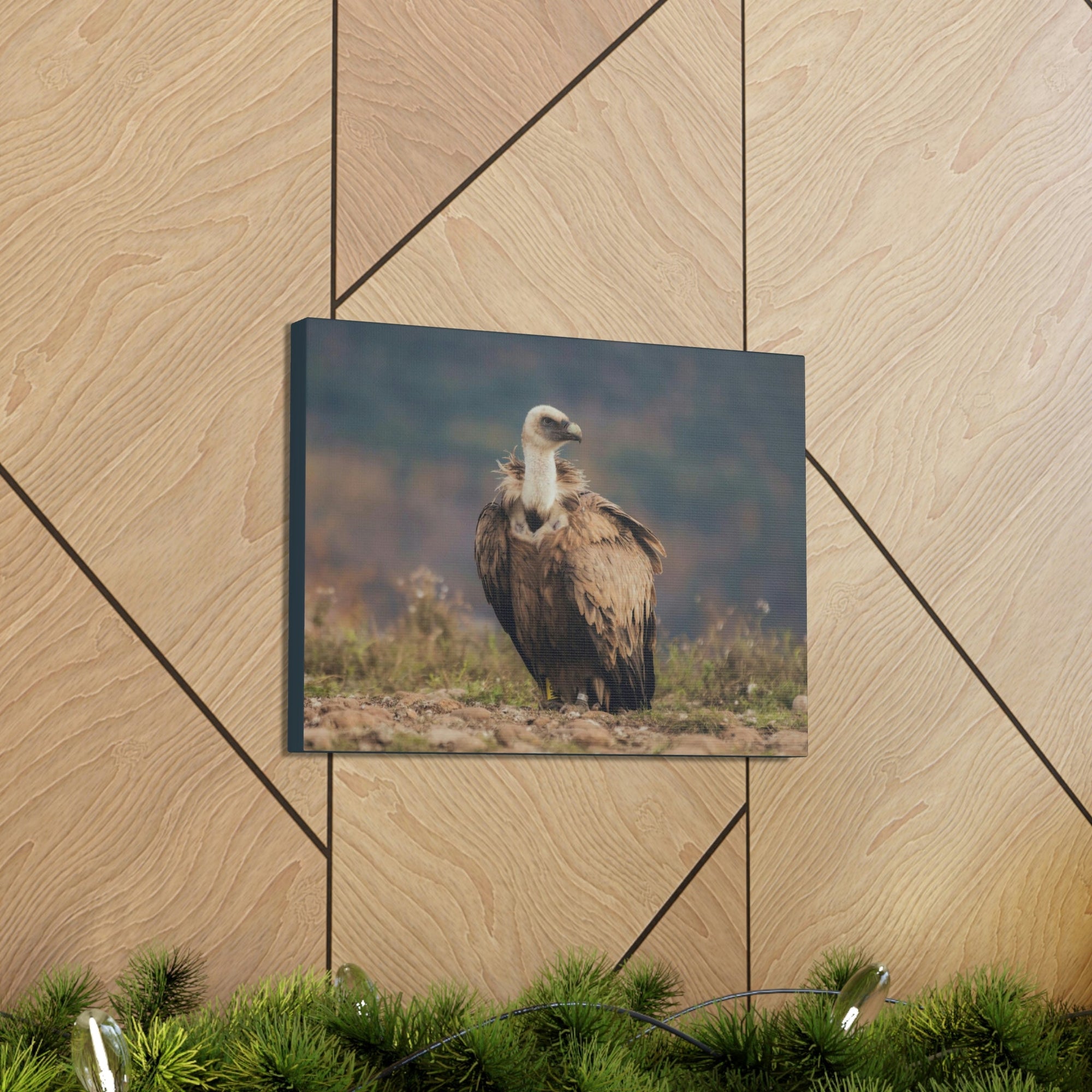 Scripture Walls Majestic Vulture Art Majestic Vulture Print Animal Wall Art Wildlife Canvas Prints Wall Art Ready to Hang Unframed-Express Your Love Gifts