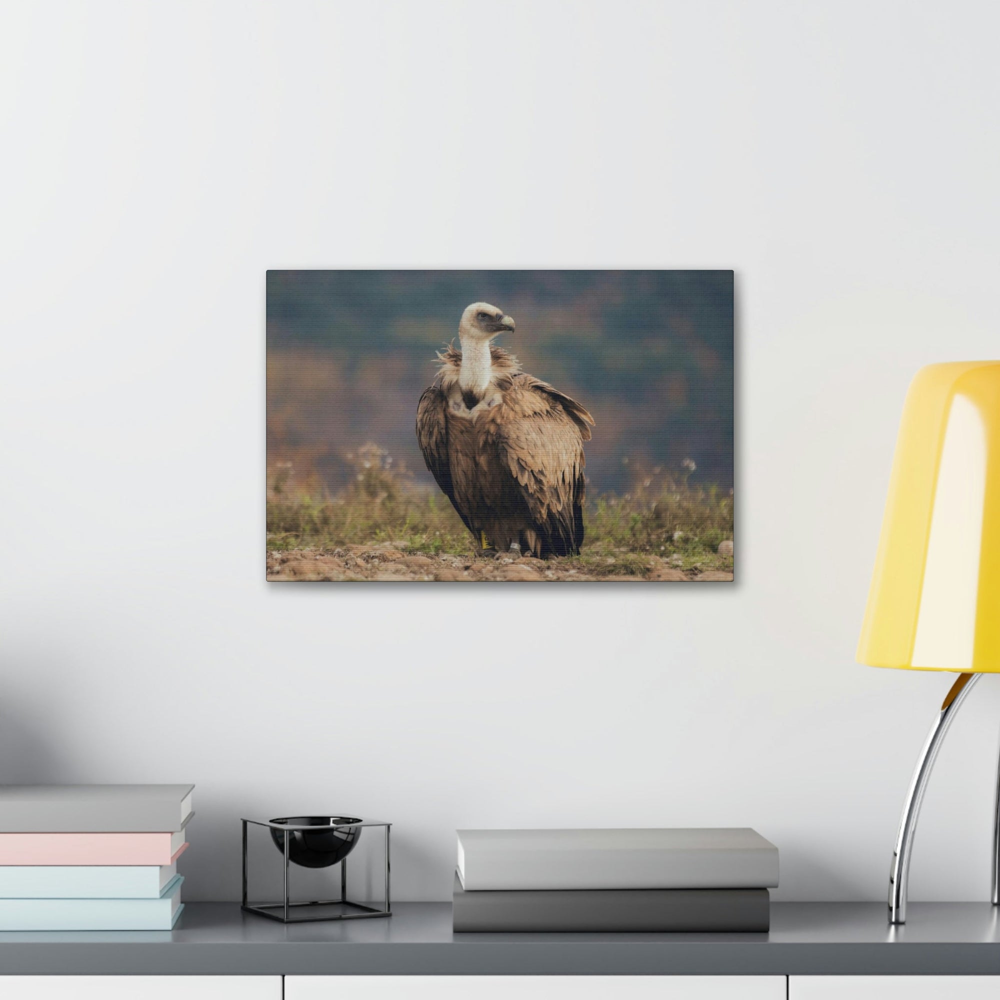 Scripture Walls Majestic Vulture Art Majestic Vulture Print Animal Wall Art Wildlife Canvas Prints Wall Art Ready to Hang Unframed-Express Your Love Gifts