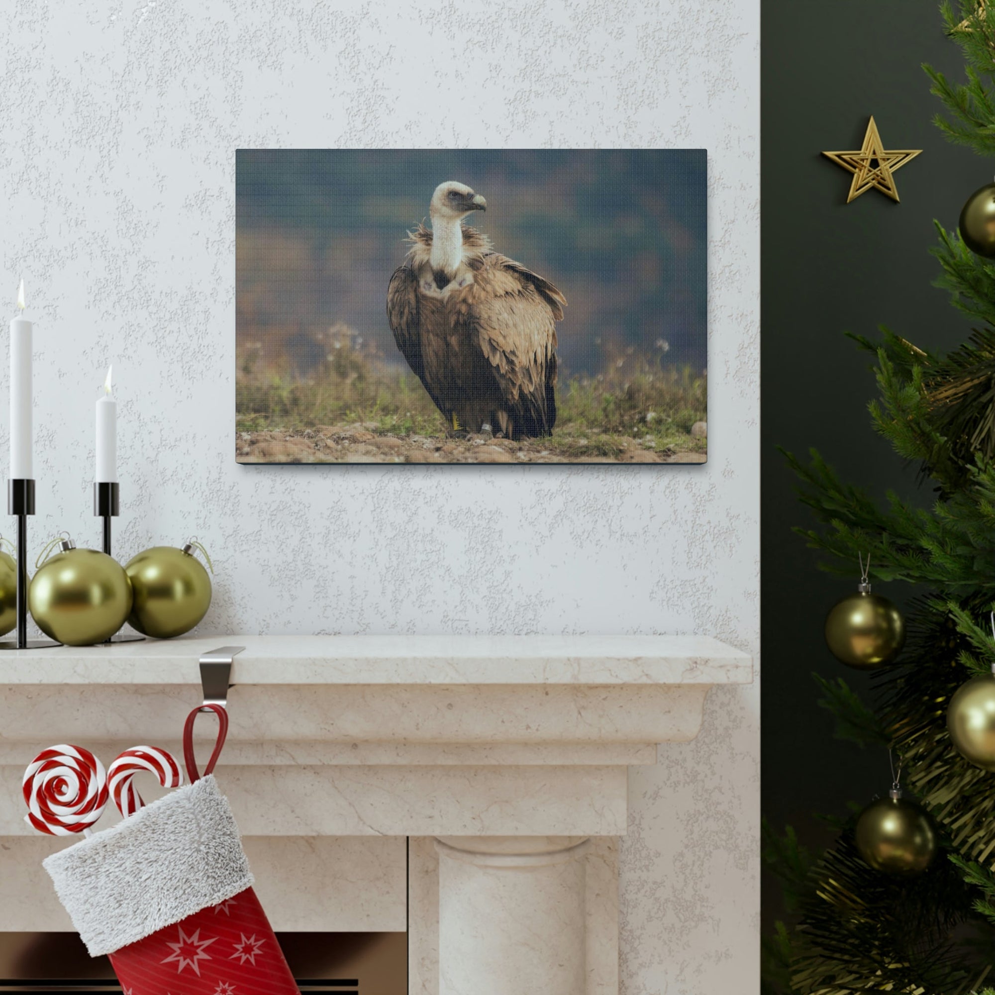 Scripture Walls Majestic Vulture Art Majestic Vulture Print Animal Wall Art Wildlife Canvas Prints Wall Art Ready to Hang Unframed-Express Your Love Gifts