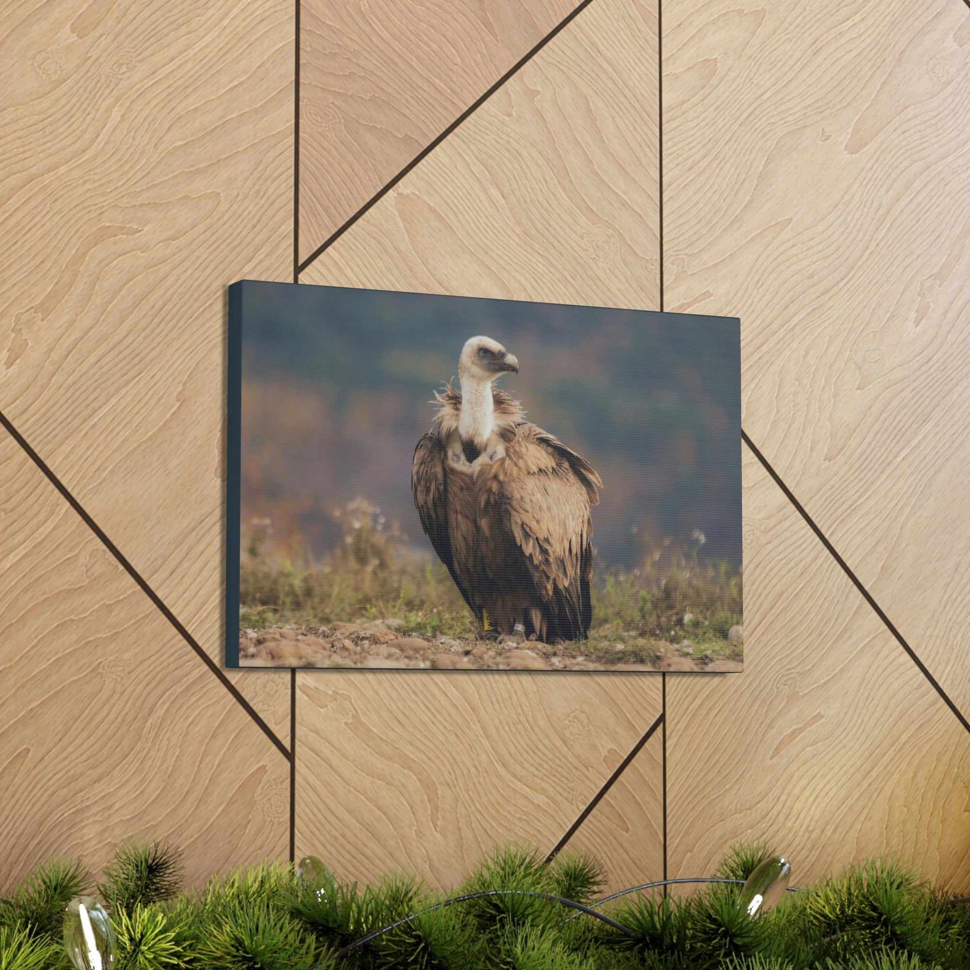 Scripture Walls Majestic Vulture Art Majestic Vulture Print Animal Wall Art Wildlife Canvas Prints Wall Art Ready to Hang Unframed-Express Your Love Gifts