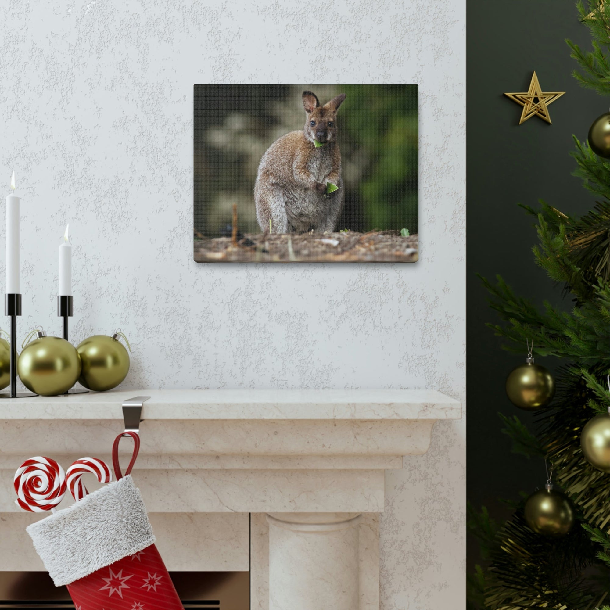 Scripture Walls Majestic Wallaby Art Majestic Wallaby Print Animal Wall Art Wildlife Canvas Prints Wall Art Ready to Hang Unframed-Express Your Love Gifts