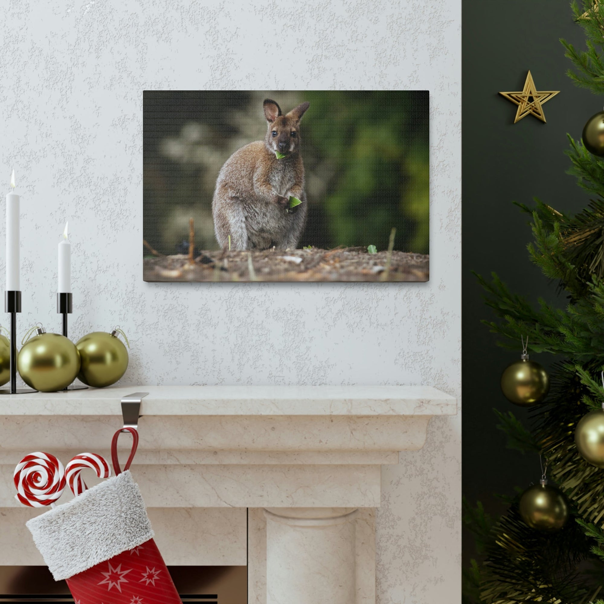 Scripture Walls Majestic Wallaby Art Majestic Wallaby Print Animal Wall Art Wildlife Canvas Prints Wall Art Ready to Hang Unframed-Express Your Love Gifts