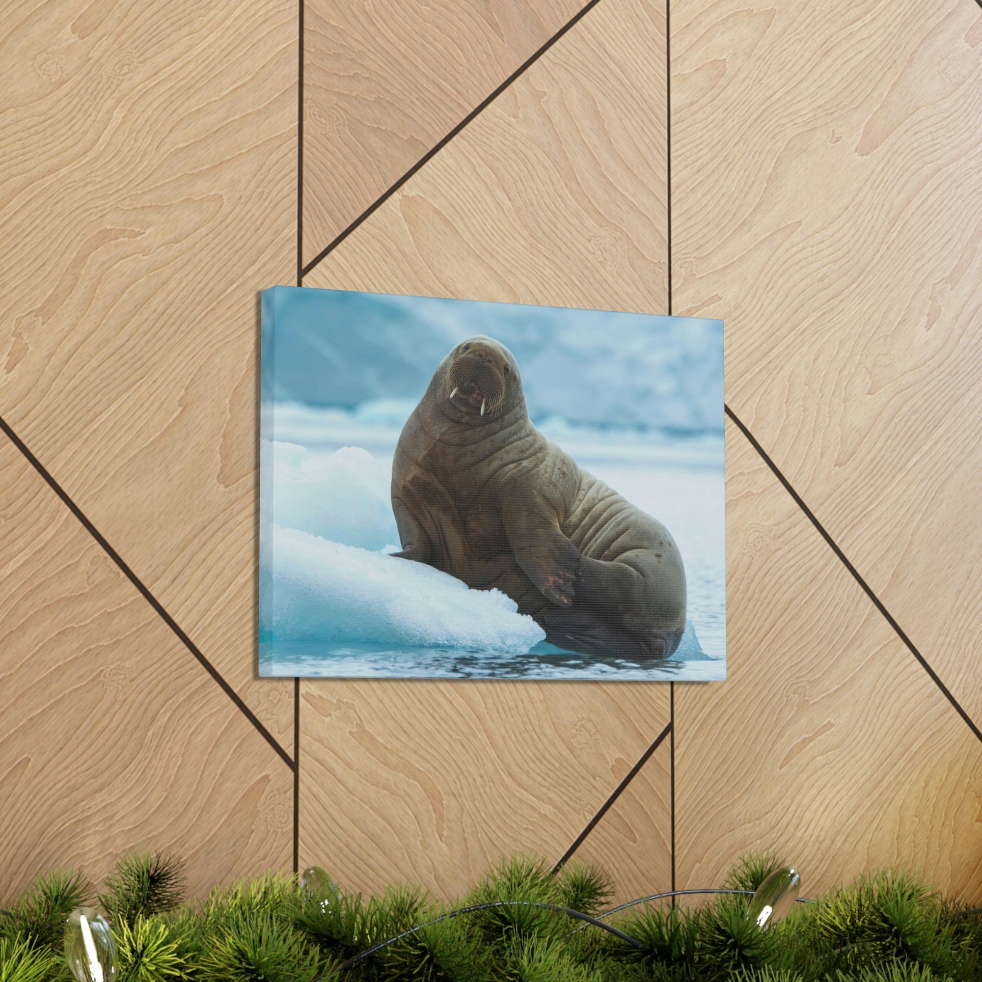 Scripture Walls Majestic Walrus Art Majestic Walrus Print Animal Wall Art Wildlife Canvas Prints Wall Art Ready to Hang Unframed-Express Your Love Gifts