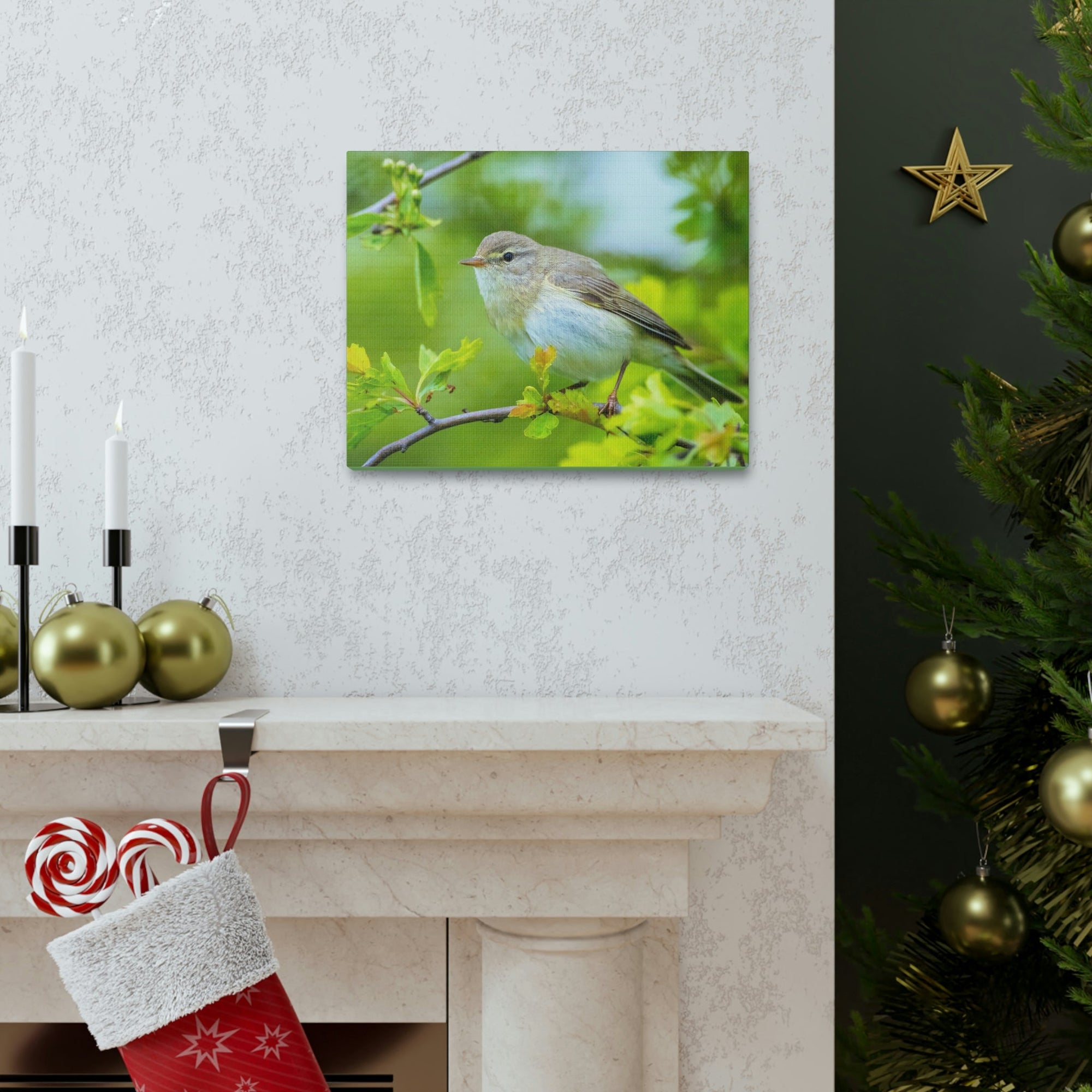 Scripture Walls Majestic Warbler Art Majestic Warbler Print Animal Wall Art Wildlife Canvas Prints Wall Art Ready to Hang Unframed-Express Your Love Gifts