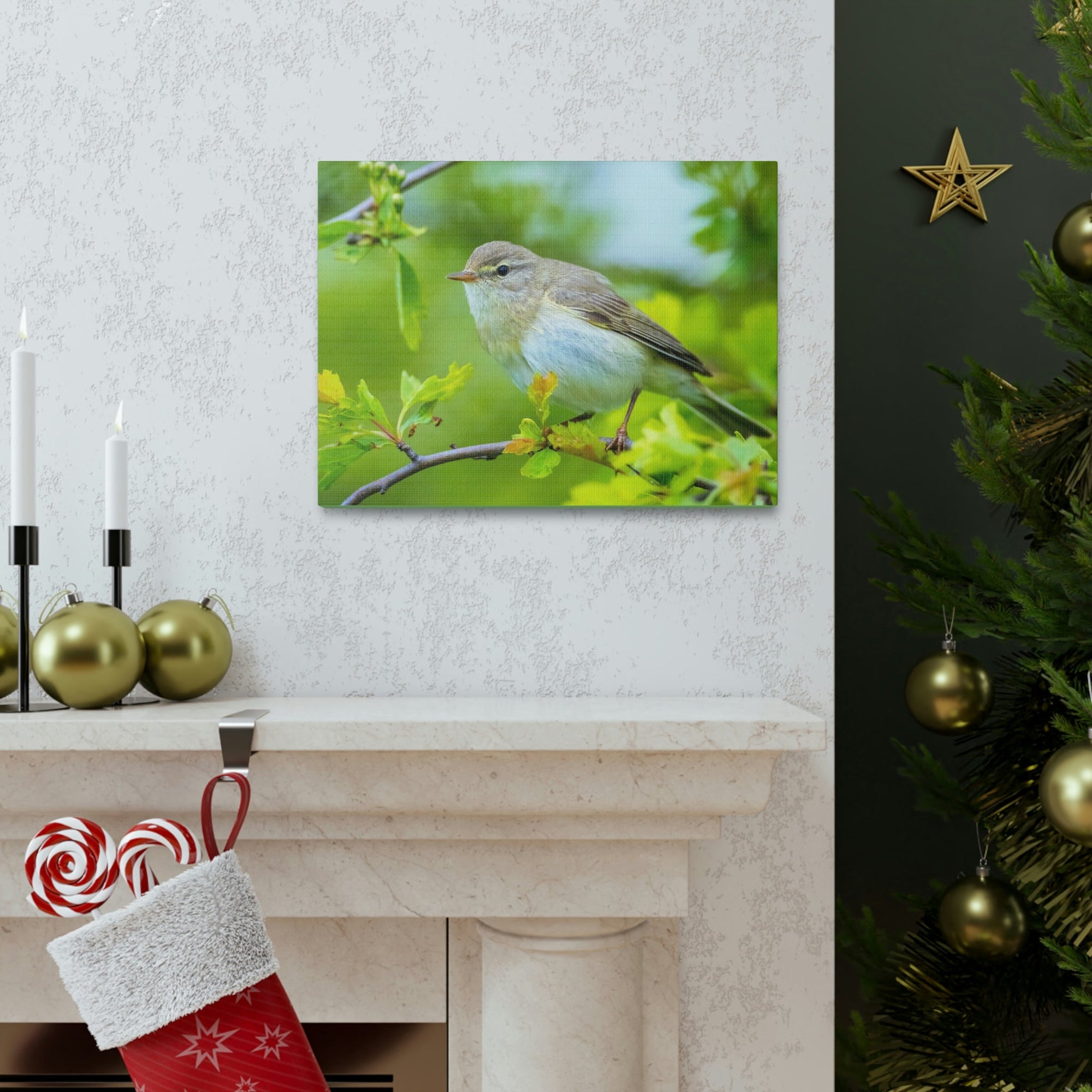 Scripture Walls Majestic Warbler Art Majestic Warbler Print Animal Wall Art Wildlife Canvas Prints Wall Art Ready to Hang Unframed-Express Your Love Gifts