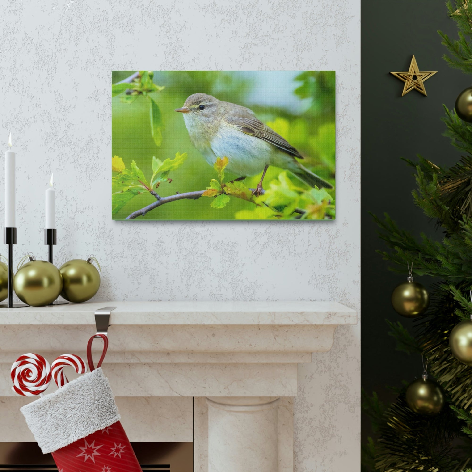 Scripture Walls Majestic Warbler Art Majestic Warbler Print Animal Wall Art Wildlife Canvas Prints Wall Art Ready to Hang Unframed-Express Your Love Gifts