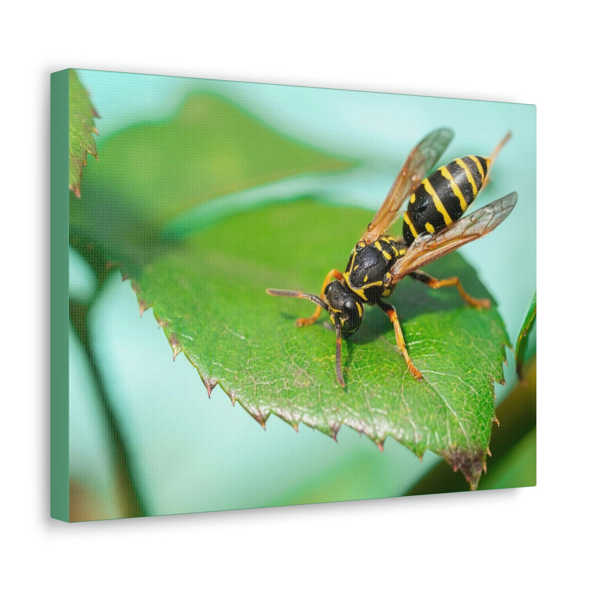 Scripture Walls Majestic Wasp Art Majestic Wasp Print Animal Wall Art Wildlife Canvas Prints Wall Art Ready to Hang Unframed-Express Your Love Gifts