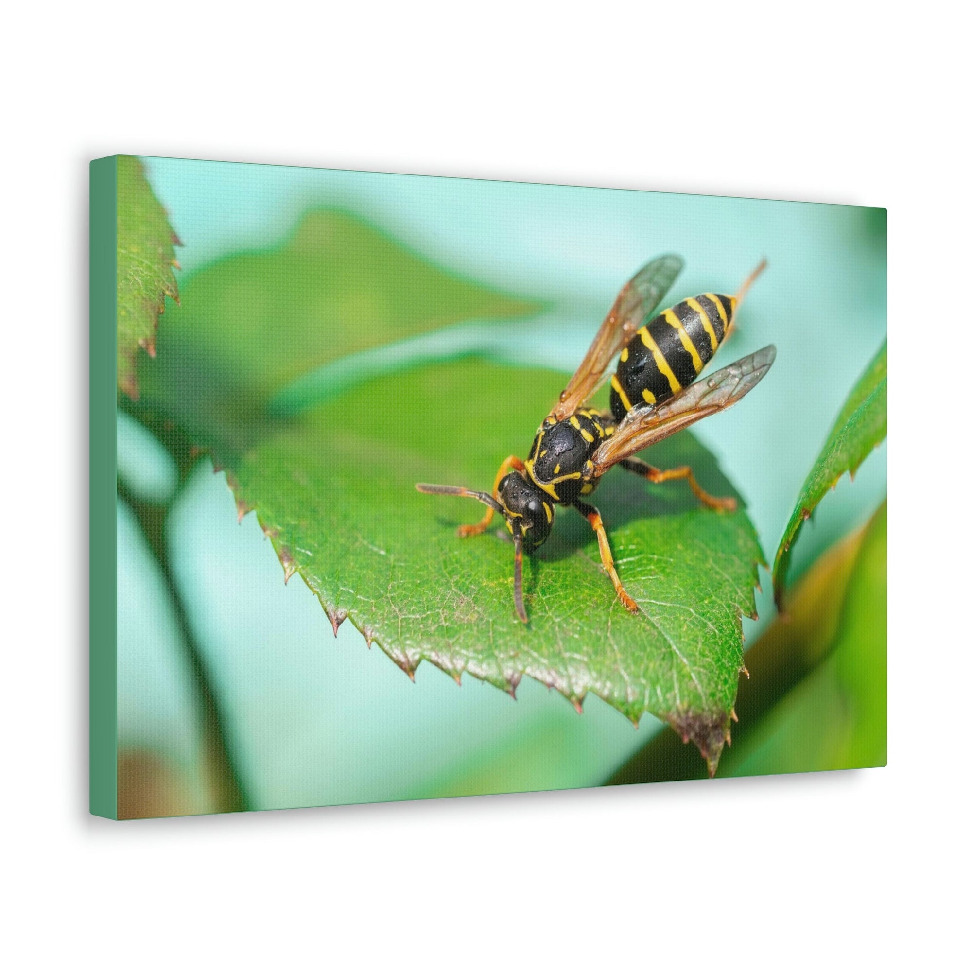 Scripture Walls Majestic Wasp Art Majestic Wasp Print Animal Wall Art Wildlife Canvas Prints Wall Art Ready to Hang Unframed-Express Your Love Gifts