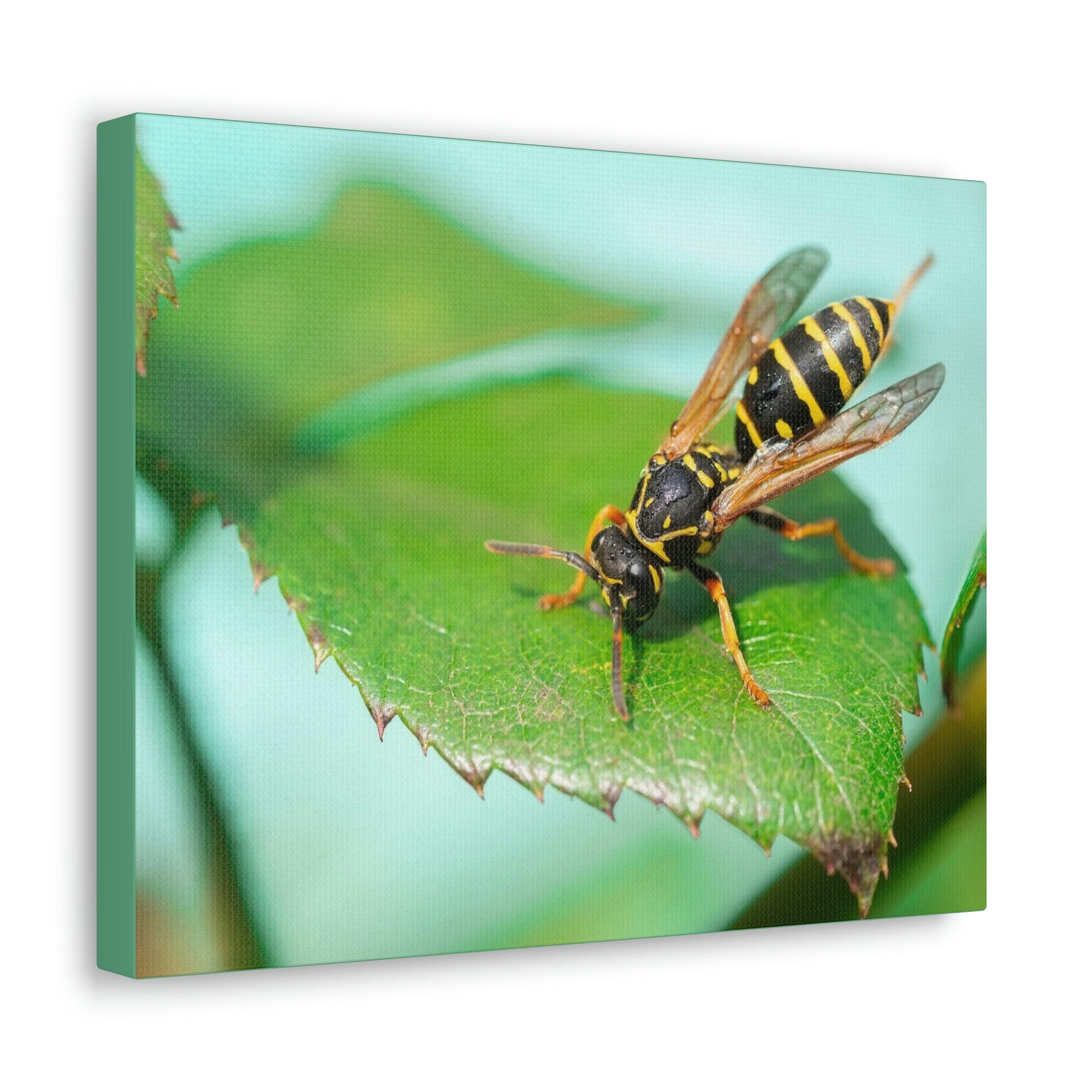 Scripture Walls Majestic Wasp Art Majestic Wasp Print Animal Wall Art Wildlife Canvas Prints Wall Art Ready to Hang Unframed-Express Your Love Gifts