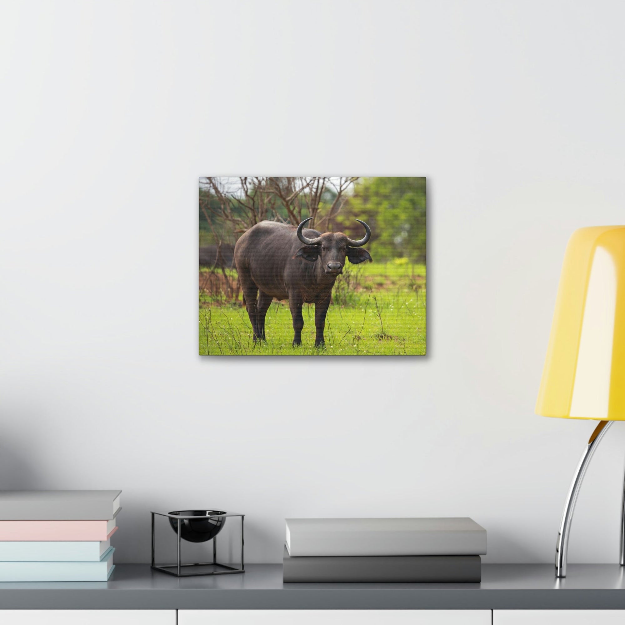 Scripture Walls Majestic Water Buffalo Art Majestic Water Buffalo Print Animal Wall Art Wildlife Canvas Prints Wall Art Ready to Hang Unframed-Express Your Love Gifts