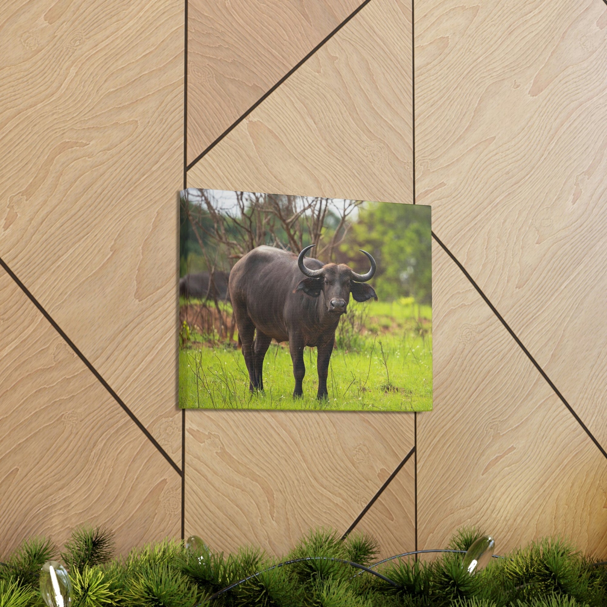 Scripture Walls Majestic Water Buffalo Art Majestic Water Buffalo Print Animal Wall Art Wildlife Canvas Prints Wall Art Ready to Hang Unframed-Express Your Love Gifts