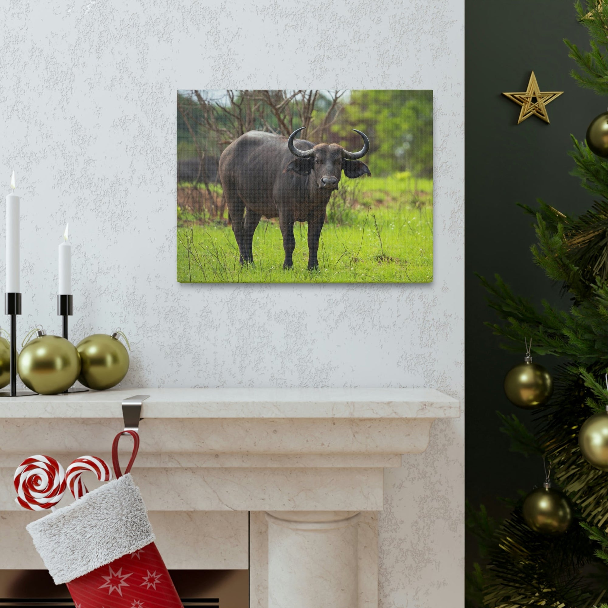 Scripture Walls Majestic Water Buffalo Art Majestic Water Buffalo Print Animal Wall Art Wildlife Canvas Prints Wall Art Ready to Hang Unframed-Express Your Love Gifts