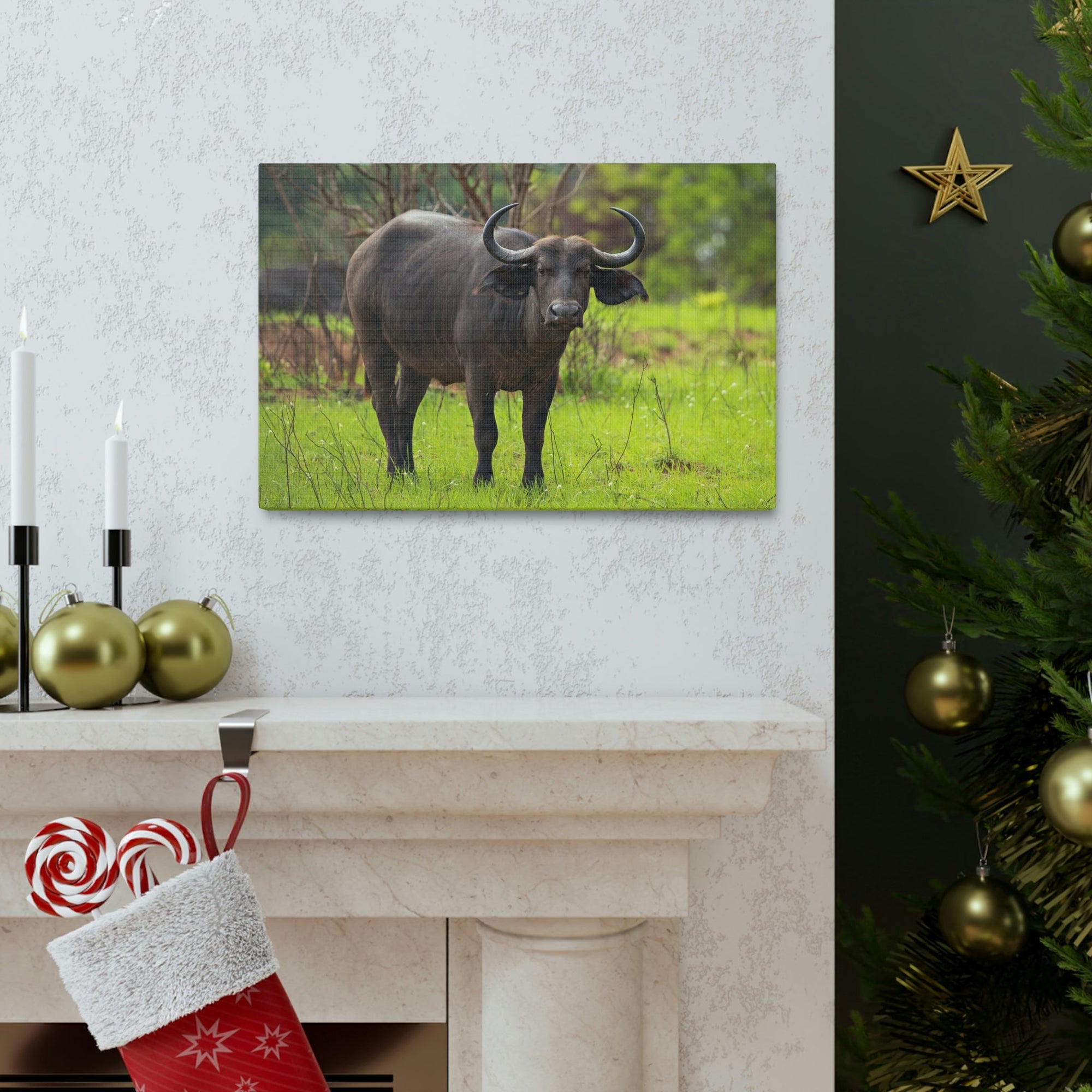 Scripture Walls Majestic Water Buffalo Art Majestic Water Buffalo Print Animal Wall Art Wildlife Canvas Prints Wall Art Ready to Hang Unframed-Express Your Love Gifts