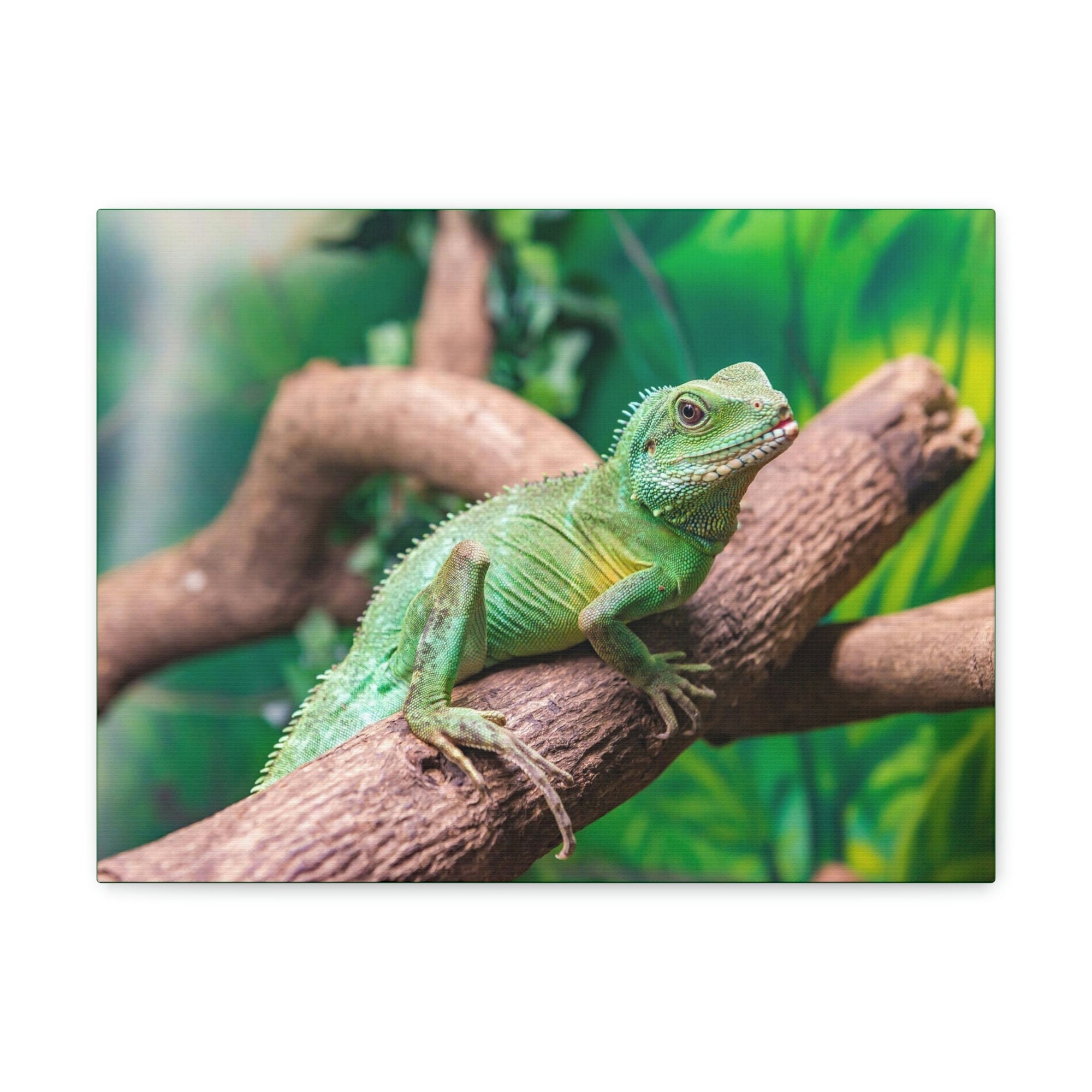 Scripture Walls Majestic Water Dragon Art Majestic Water Dragon Print Animal Wall Art Wildlife Canvas Prints Wall Art Ready to Hang Unframed-Express Your Love Gifts