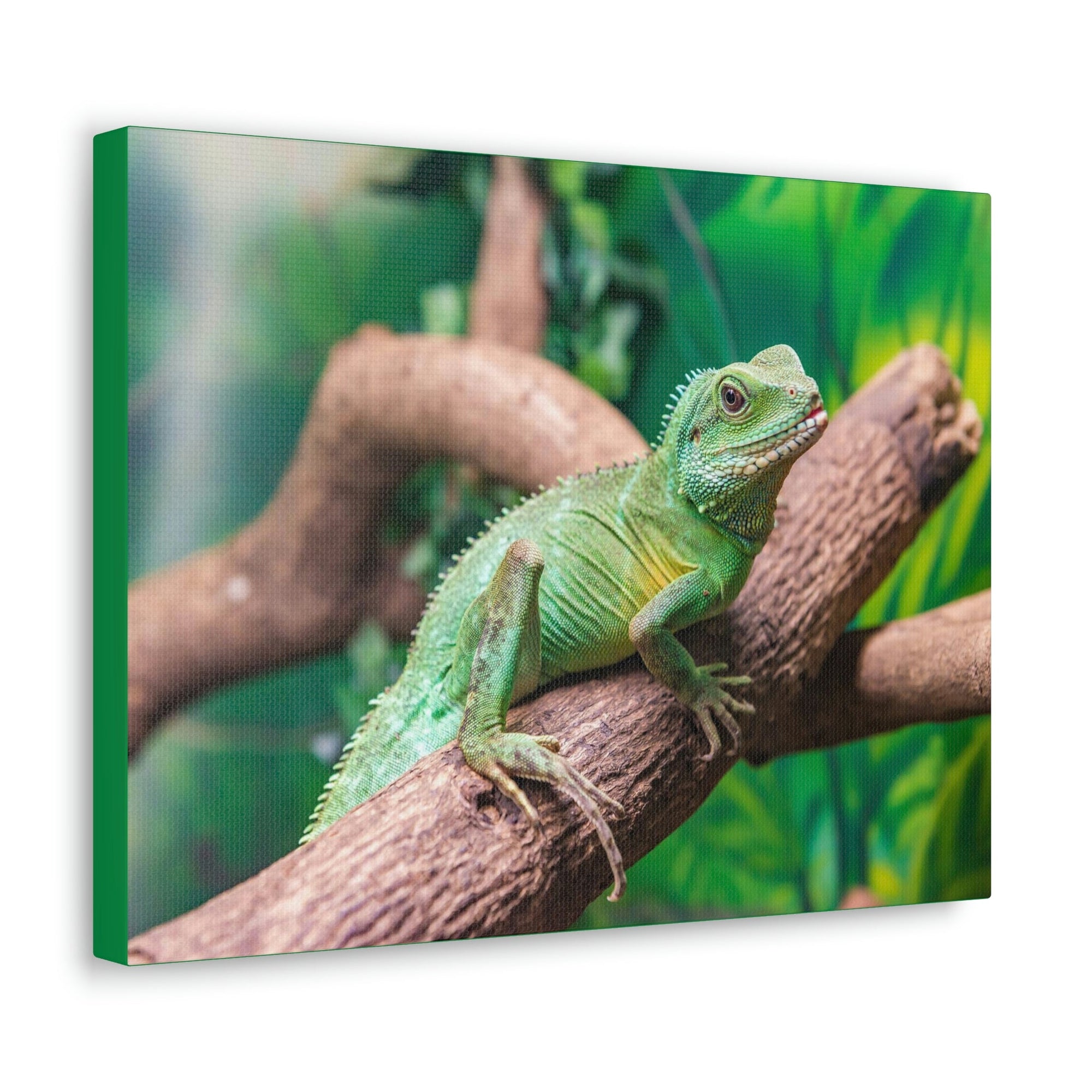 Scripture Walls Majestic Water Dragon Art Majestic Water Dragon Print Animal Wall Art Wildlife Canvas Prints Wall Art Ready to Hang Unframed-Express Your Love Gifts