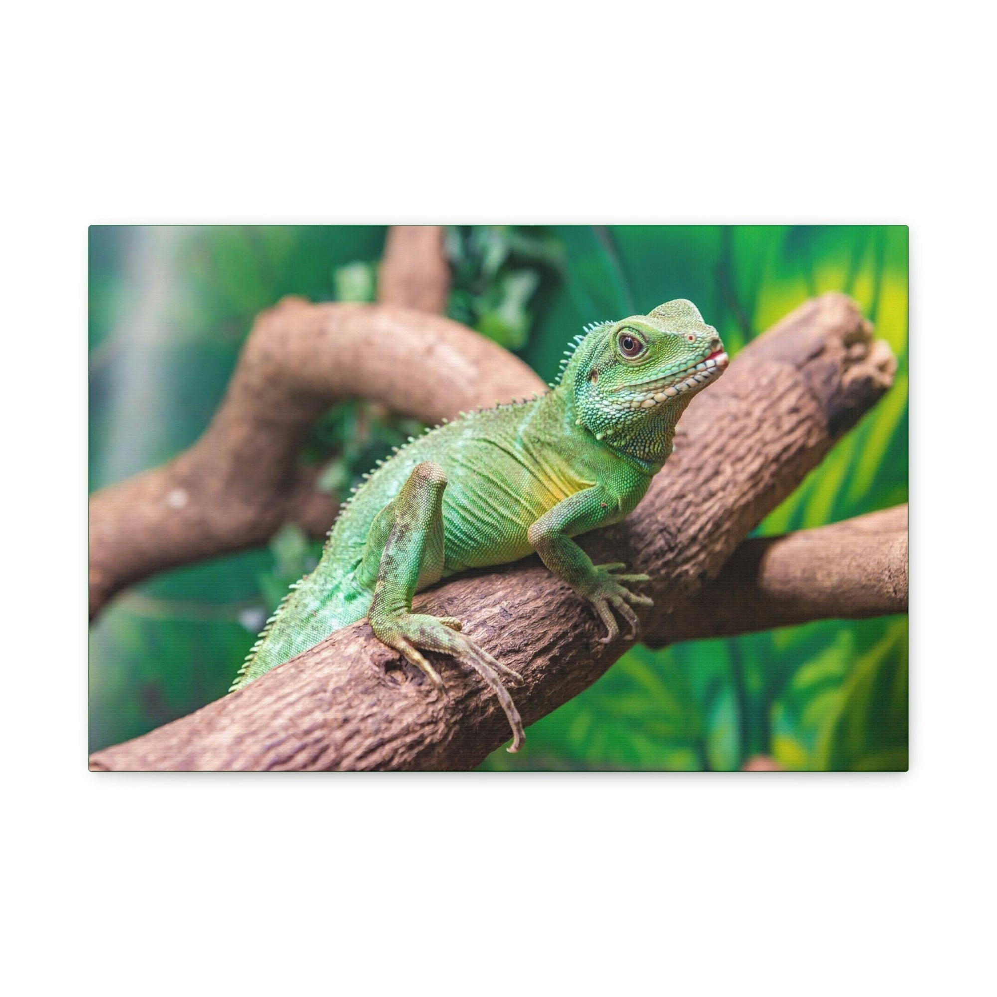 Scripture Walls Majestic Water Dragon Art Majestic Water Dragon Print Animal Wall Art Wildlife Canvas Prints Wall Art Ready to Hang Unframed-Express Your Love Gifts