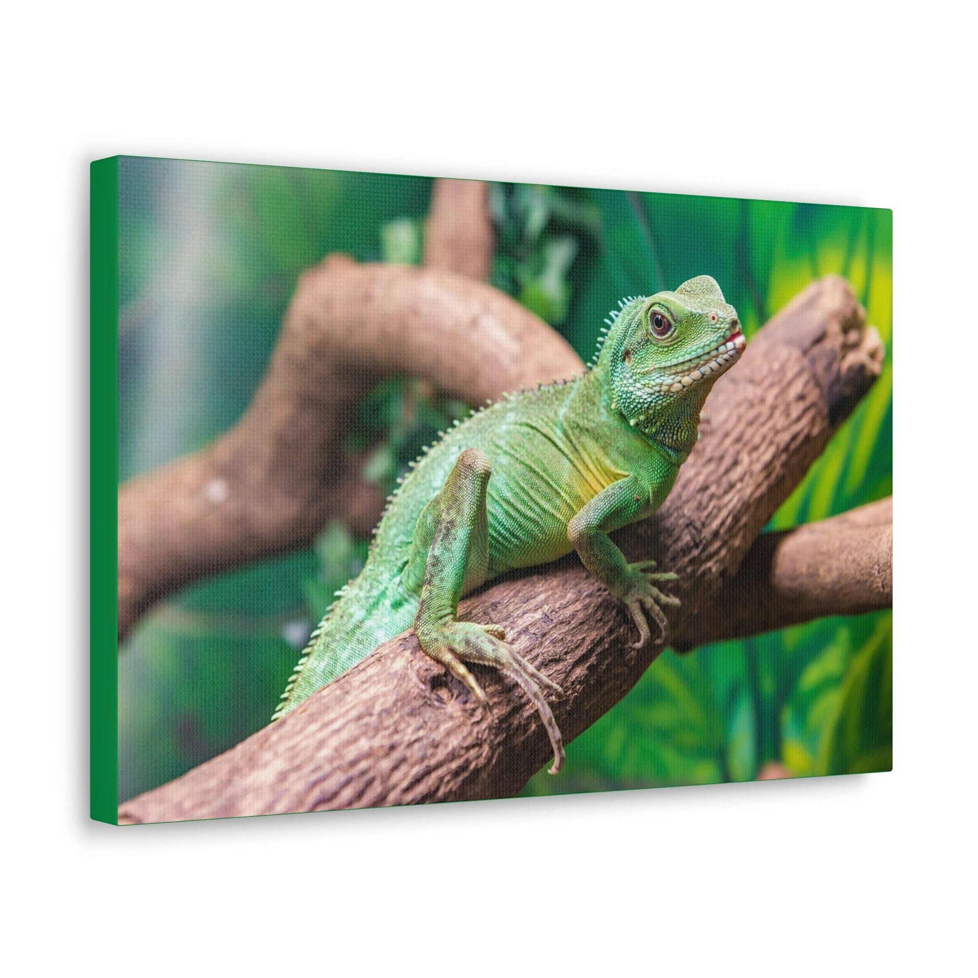 Scripture Walls Majestic Water Dragon Art Majestic Water Dragon Print Animal Wall Art Wildlife Canvas Prints Wall Art Ready to Hang Unframed-Express Your Love Gifts