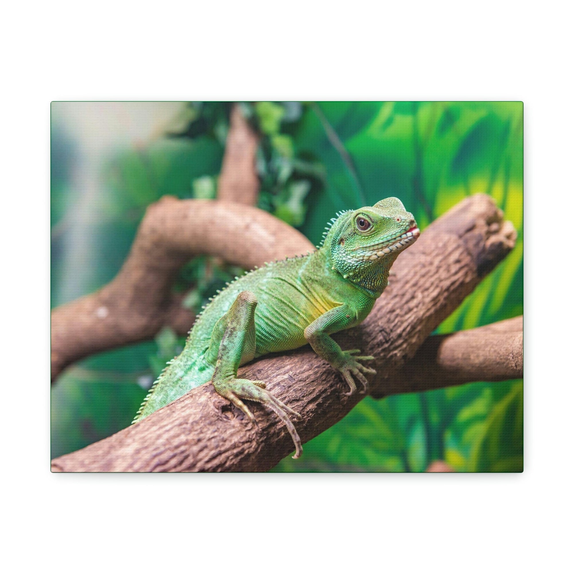 Scripture Walls Majestic Water Dragon Art Majestic Water Dragon Print Animal Wall Art Wildlife Canvas Prints Wall Art Ready to Hang Unframed-Express Your Love Gifts