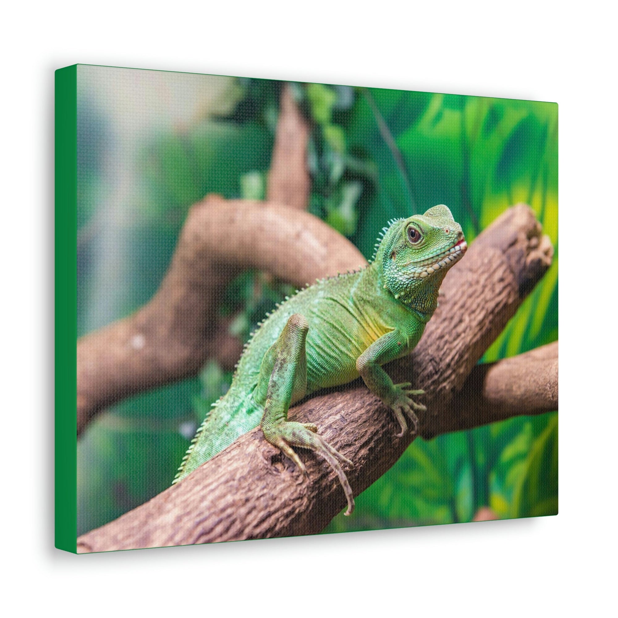 Scripture Walls Majestic Water Dragon Art Majestic Water Dragon Print Animal Wall Art Wildlife Canvas Prints Wall Art Ready to Hang Unframed-Express Your Love Gifts