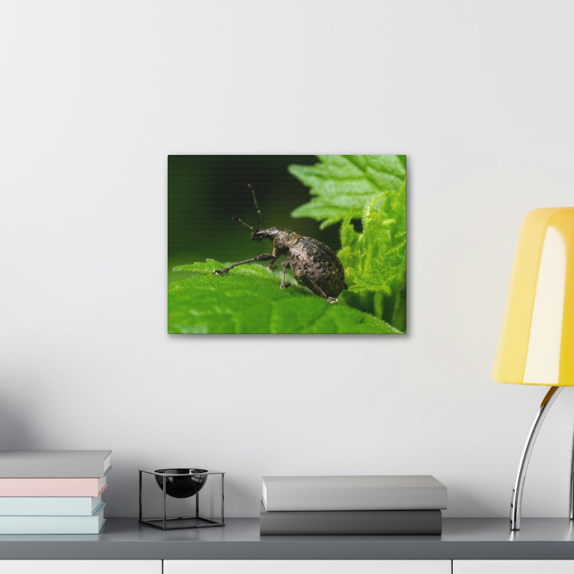 Scripture Walls Majestic Weevil Art Majestic Weevil Print Animal Wall Art Wildlife Canvas Prints Wall Art Ready to Hang Unframed-Express Your Love Gifts