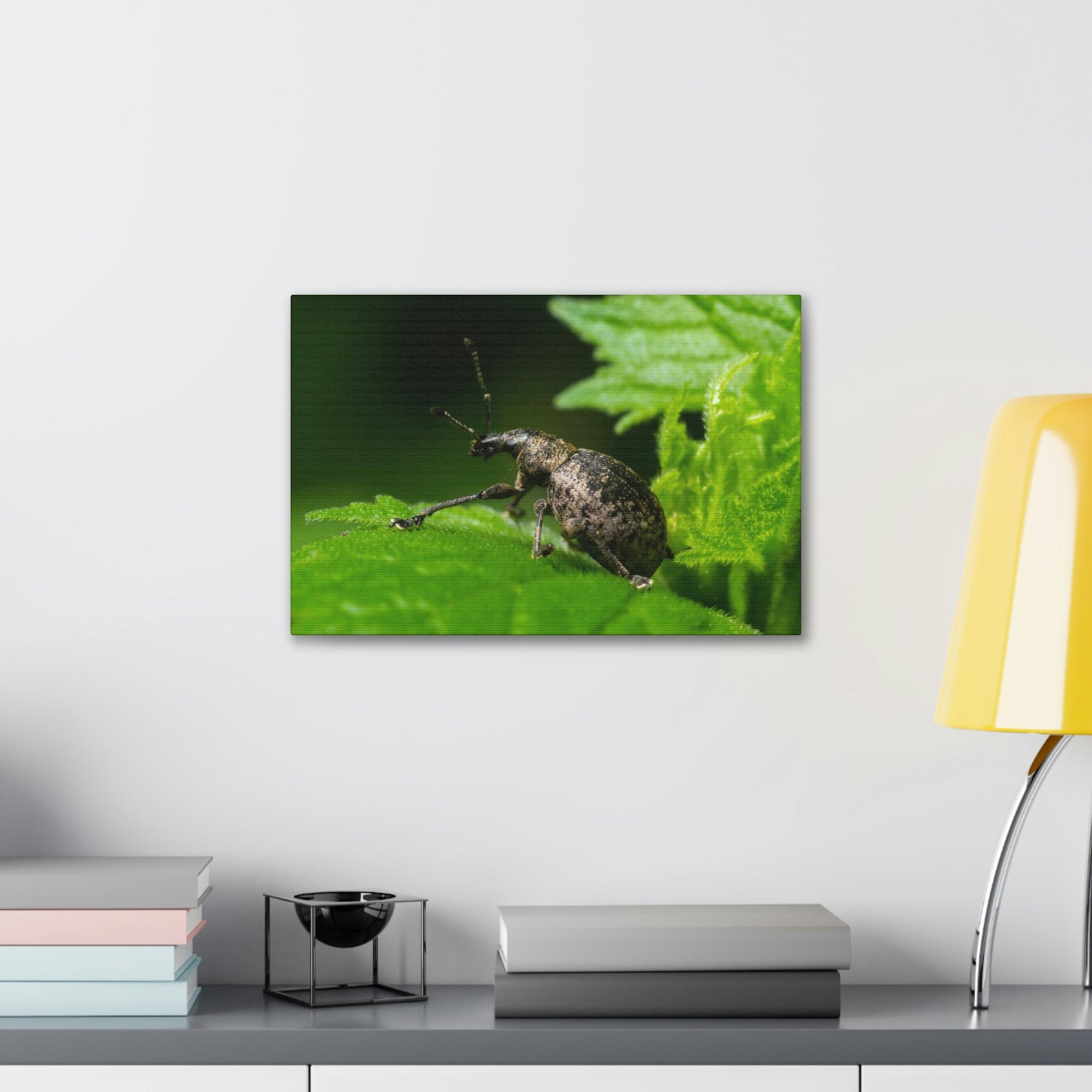 Scripture Walls Majestic Weevil Art Majestic Weevil Print Animal Wall Art Wildlife Canvas Prints Wall Art Ready to Hang Unframed-Express Your Love Gifts