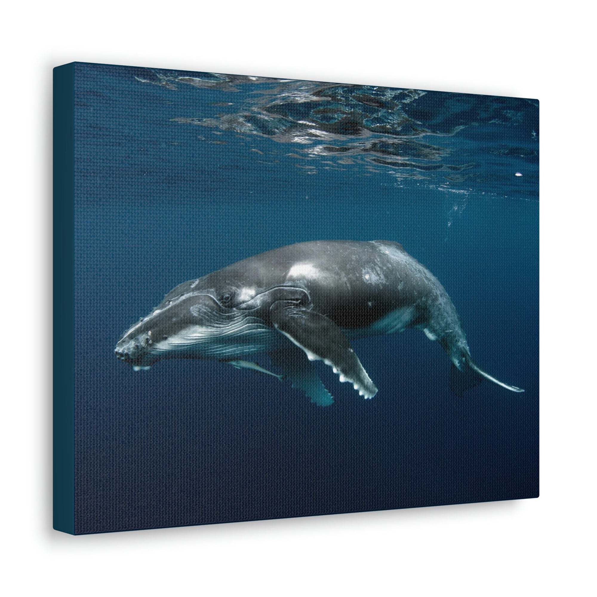 Scripture Walls Majestic Whale Art Majestic Whale Print Animal Wall Art Wildlife Canvas Prints Wall Art Ready to Hang Unframed-Express Your Love Gifts