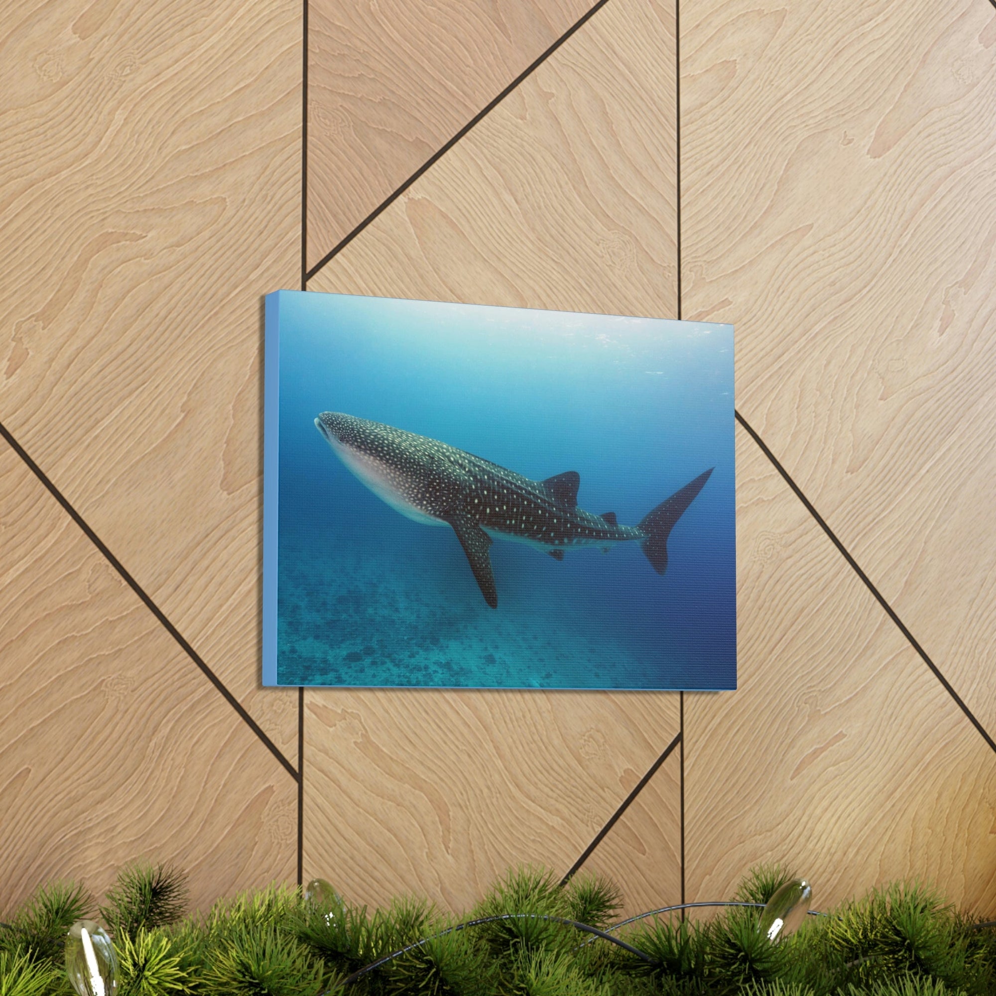 Scripture Walls Majestic Whale Shark Art Majestic Whale Shark Print Animal Wall Art Wildlife Canvas Prints Wall Art Ready to Hang Unframed-Express Your Love Gifts