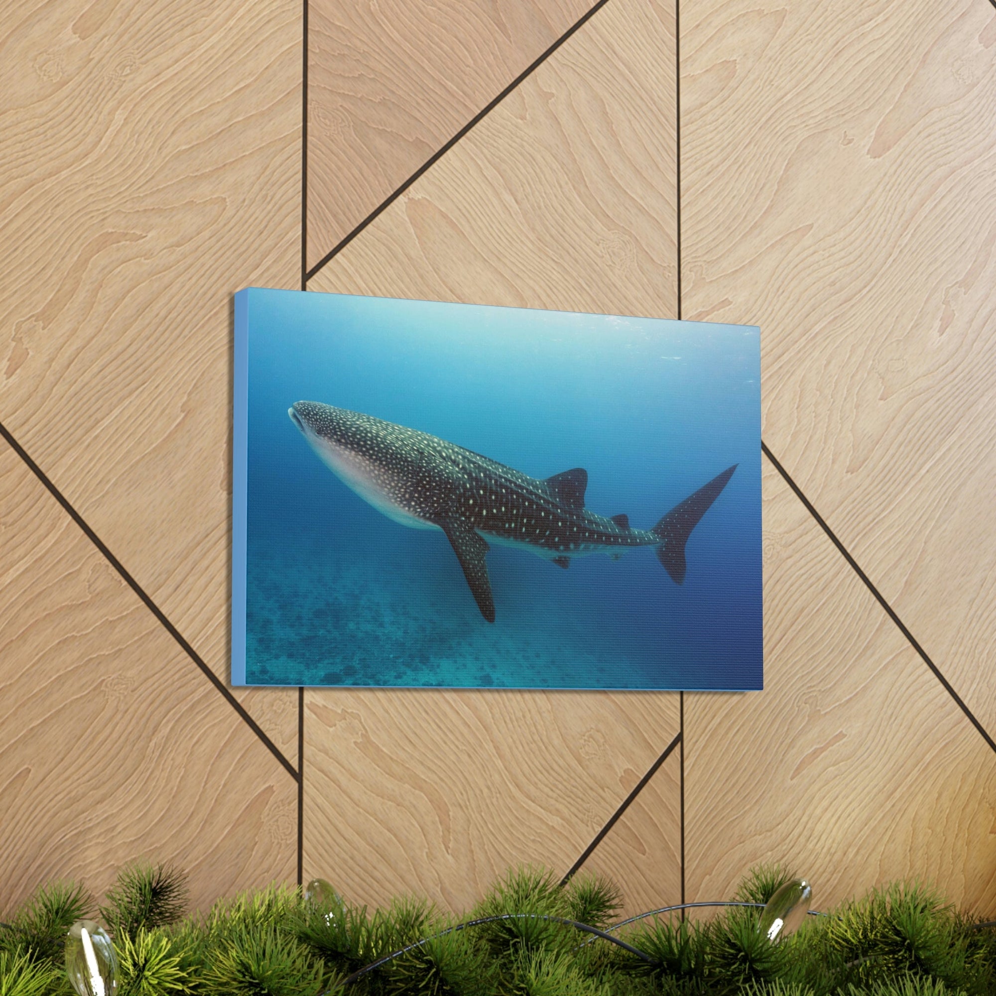 Scripture Walls Majestic Whale Shark Art Majestic Whale Shark Print Animal Wall Art Wildlife Canvas Prints Wall Art Ready to Hang Unframed-Express Your Love Gifts