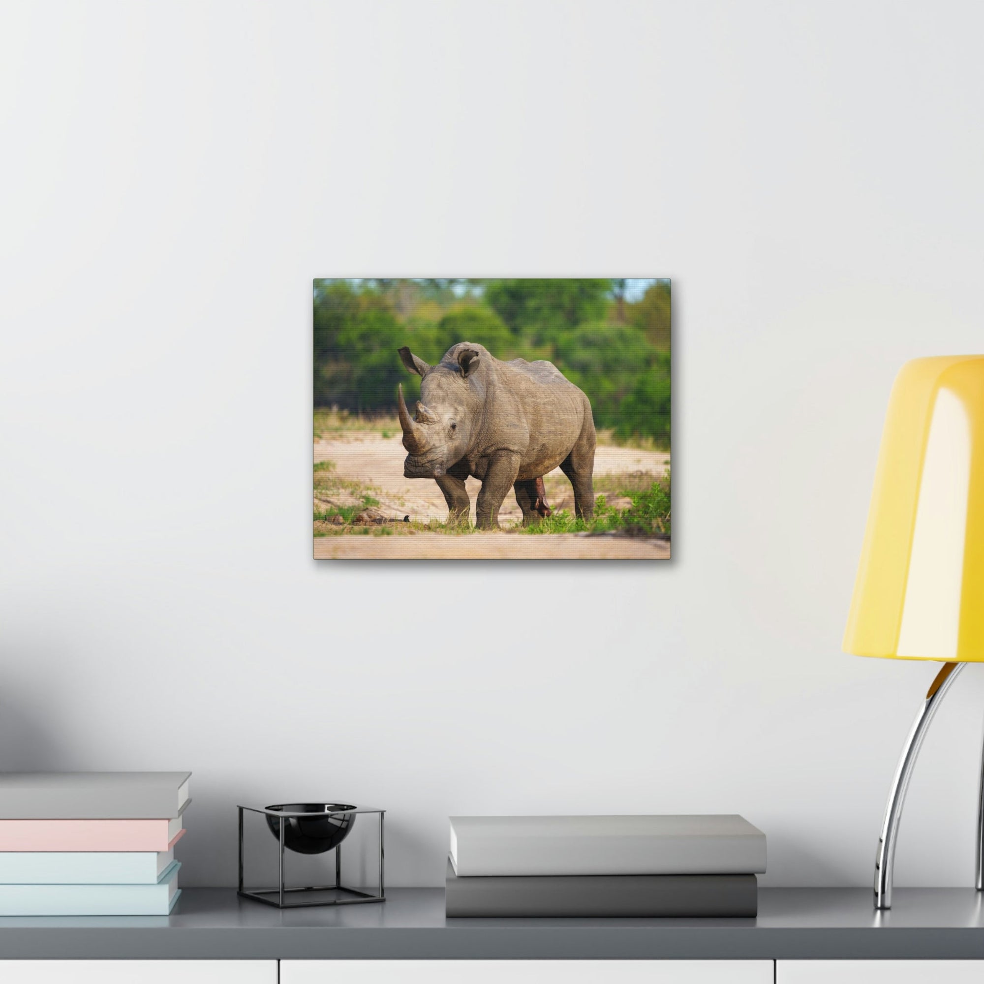 Scripture Walls Majestic White Rhino Art Majestic White Rhino Print Animal Wall Art Wildlife Canvas Prints Wall Art Ready to Hang Unframed-Express Your Love Gifts