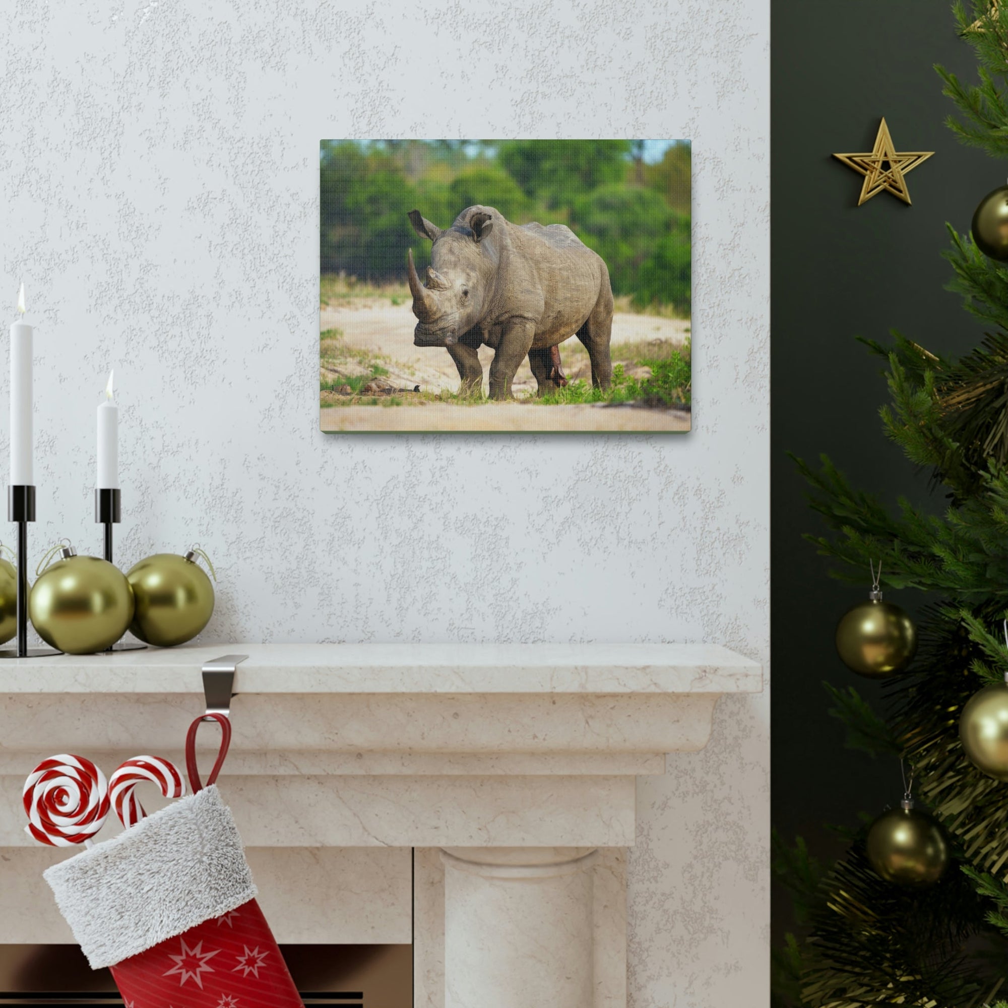 Scripture Walls Majestic White Rhino Art Majestic White Rhino Print Animal Wall Art Wildlife Canvas Prints Wall Art Ready to Hang Unframed-Express Your Love Gifts