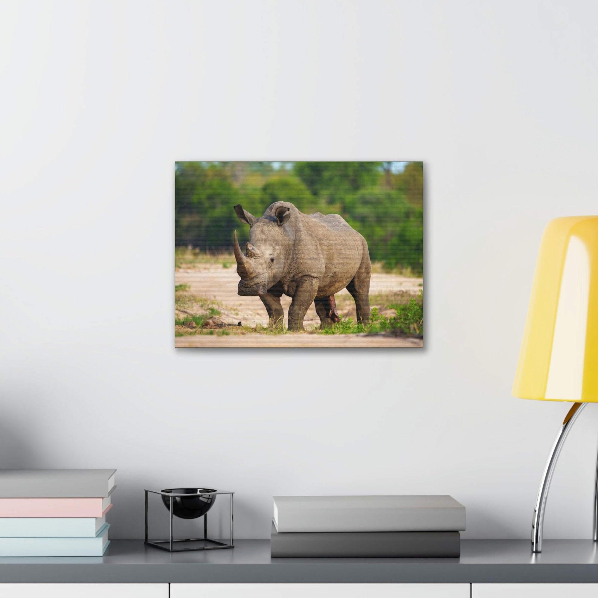 Scripture Walls Majestic White Rhino Art Majestic White Rhino Print Animal Wall Art Wildlife Canvas Prints Wall Art Ready to Hang Unframed-Express Your Love Gifts