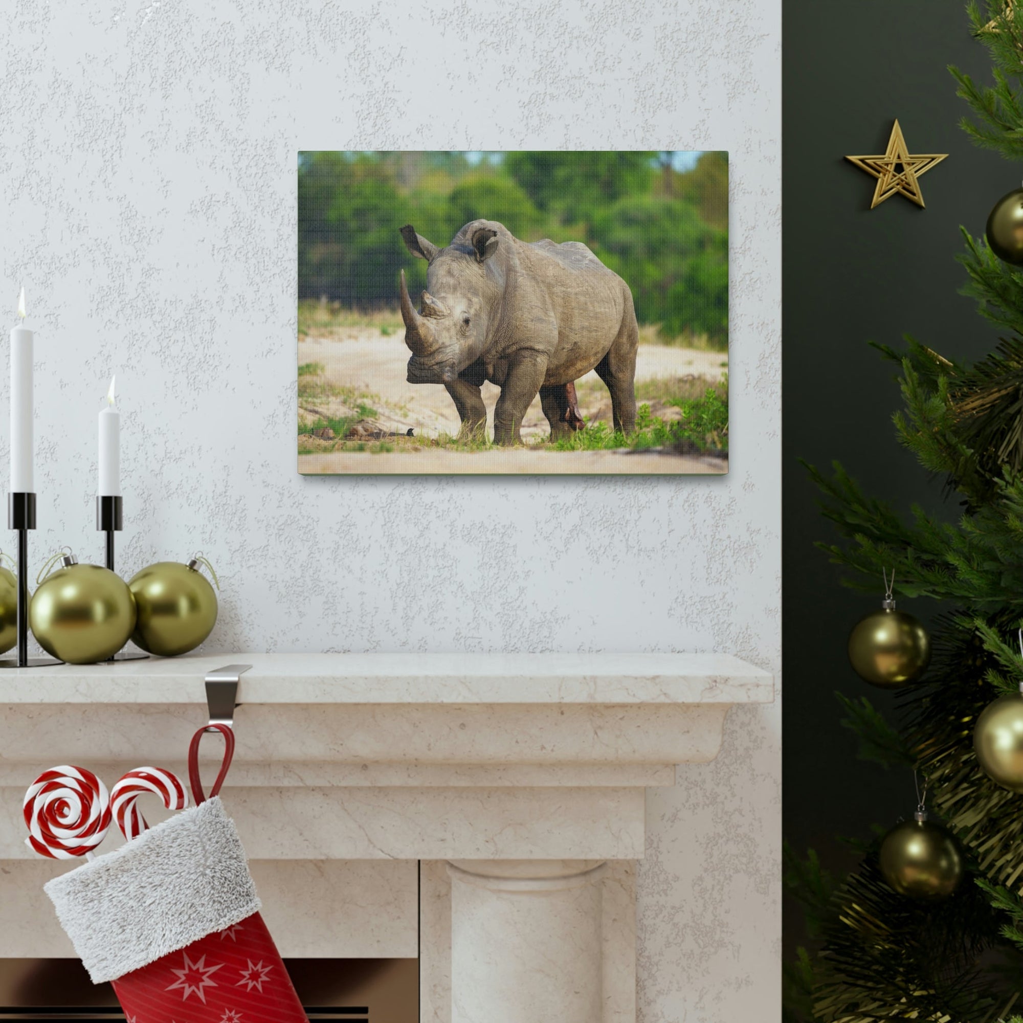 Scripture Walls Majestic White Rhino Art Majestic White Rhino Print Animal Wall Art Wildlife Canvas Prints Wall Art Ready to Hang Unframed-Express Your Love Gifts