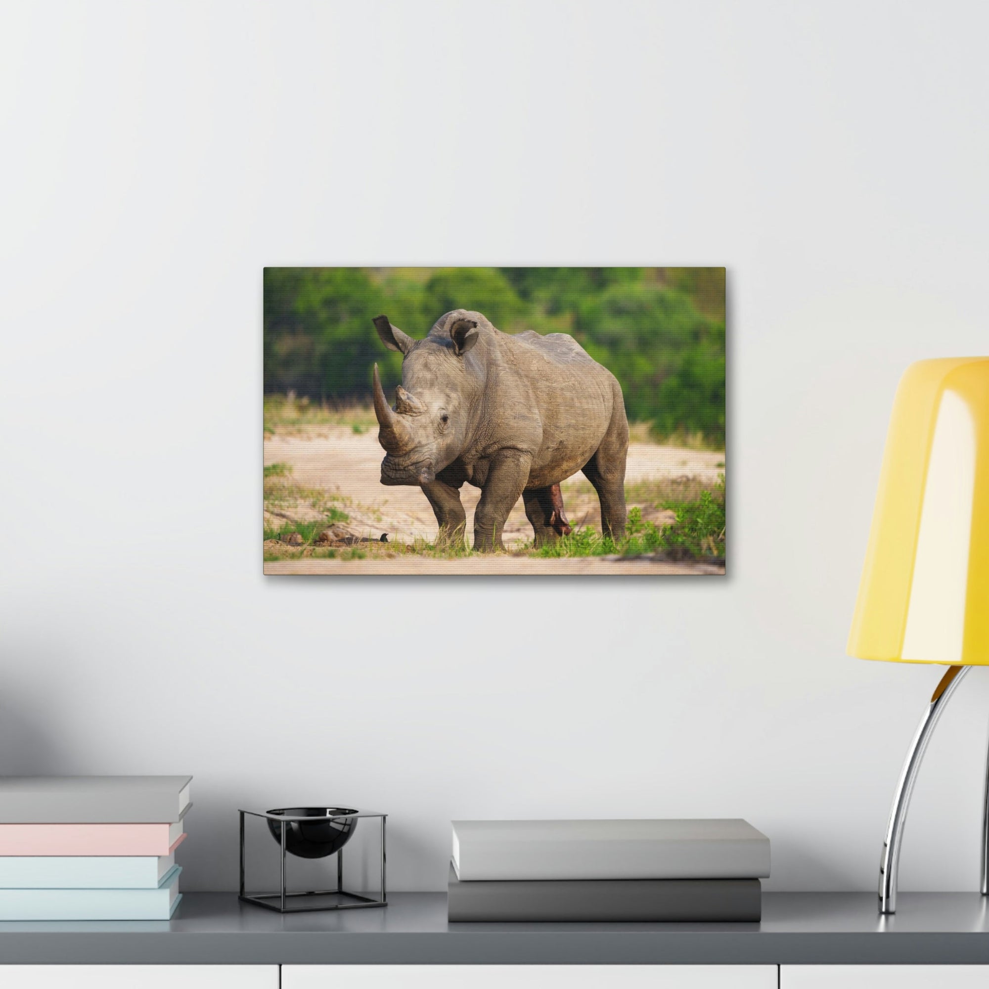 Scripture Walls Majestic White Rhino Art Majestic White Rhino Print Animal Wall Art Wildlife Canvas Prints Wall Art Ready to Hang Unframed-Express Your Love Gifts