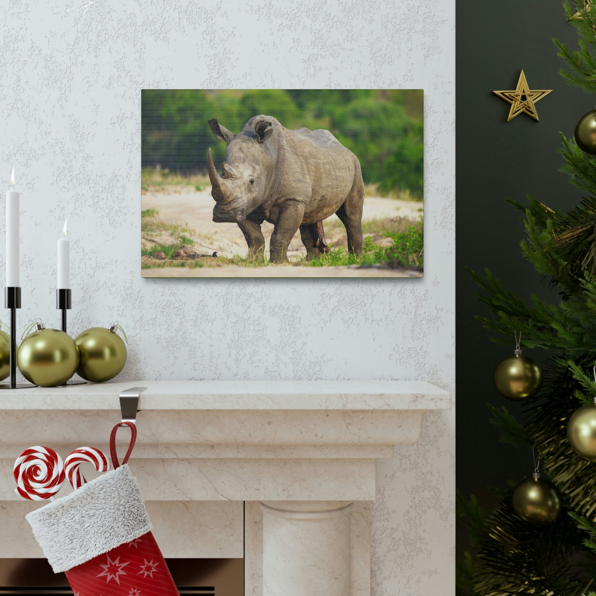 Scripture Walls Majestic White Rhino Art Majestic White Rhino Print Animal Wall Art Wildlife Canvas Prints Wall Art Ready to Hang Unframed-Express Your Love Gifts