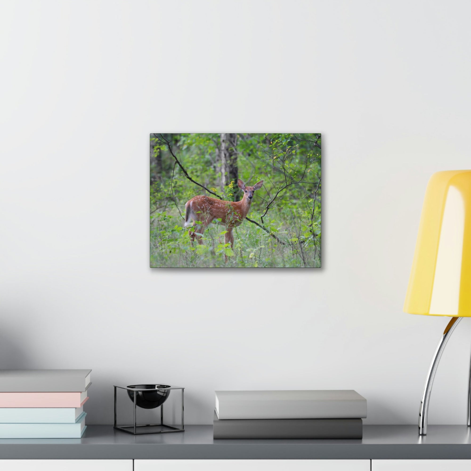 Scripture Walls Majestic White Tailed Deer Art Majestic White Tailed Deer Print Animal Wall Art Wildlife Canvas Prints Wall Art Ready to Hang Unframed-Express Your Love Gifts