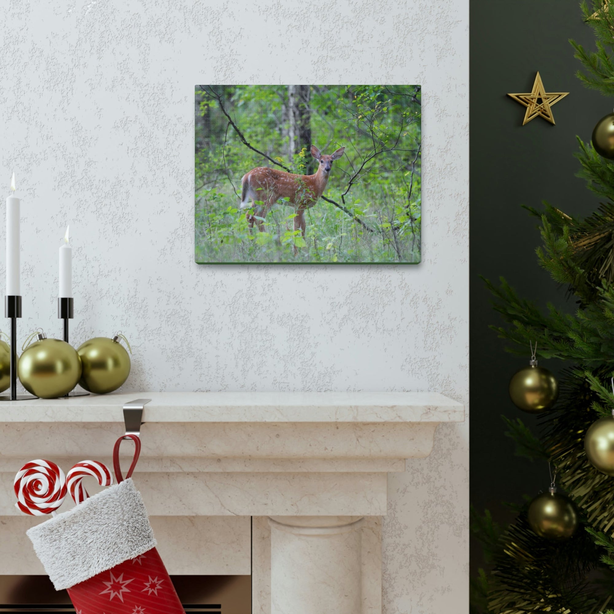 Scripture Walls Majestic White Tailed Deer Art Majestic White Tailed Deer Print Animal Wall Art Wildlife Canvas Prints Wall Art Ready to Hang Unframed-Express Your Love Gifts