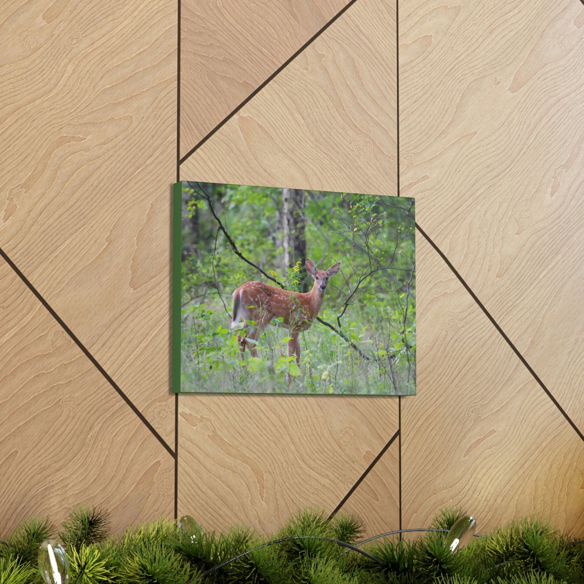 Scripture Walls Majestic White Tailed Deer Art Majestic White Tailed Deer Print Animal Wall Art Wildlife Canvas Prints Wall Art Ready to Hang Unframed-Express Your Love Gifts