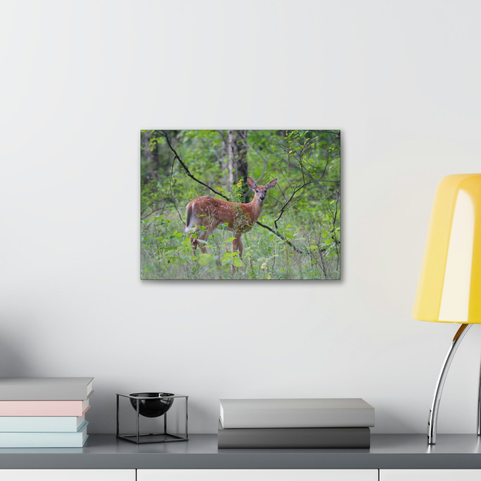 Scripture Walls Majestic White Tailed Deer Art Majestic White Tailed Deer Print Animal Wall Art Wildlife Canvas Prints Wall Art Ready to Hang Unframed-Express Your Love Gifts