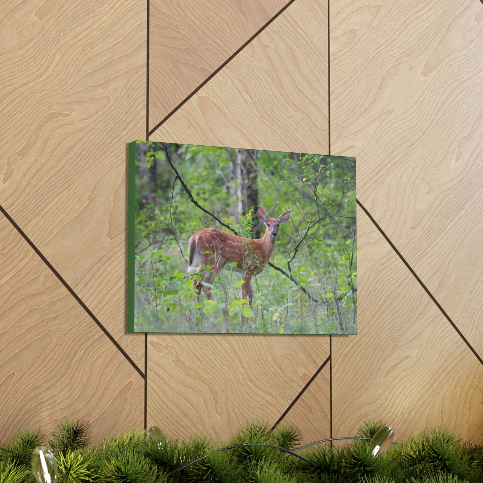 Scripture Walls Majestic White Tailed Deer Art Majestic White Tailed Deer Print Animal Wall Art Wildlife Canvas Prints Wall Art Ready to Hang Unframed-Express Your Love Gifts