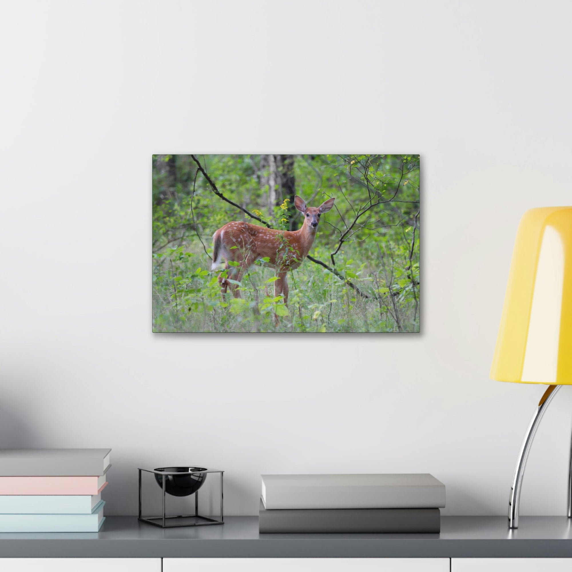 Scripture Walls Majestic White Tailed Deer Art Majestic White Tailed Deer Print Animal Wall Art Wildlife Canvas Prints Wall Art Ready to Hang Unframed-Express Your Love Gifts