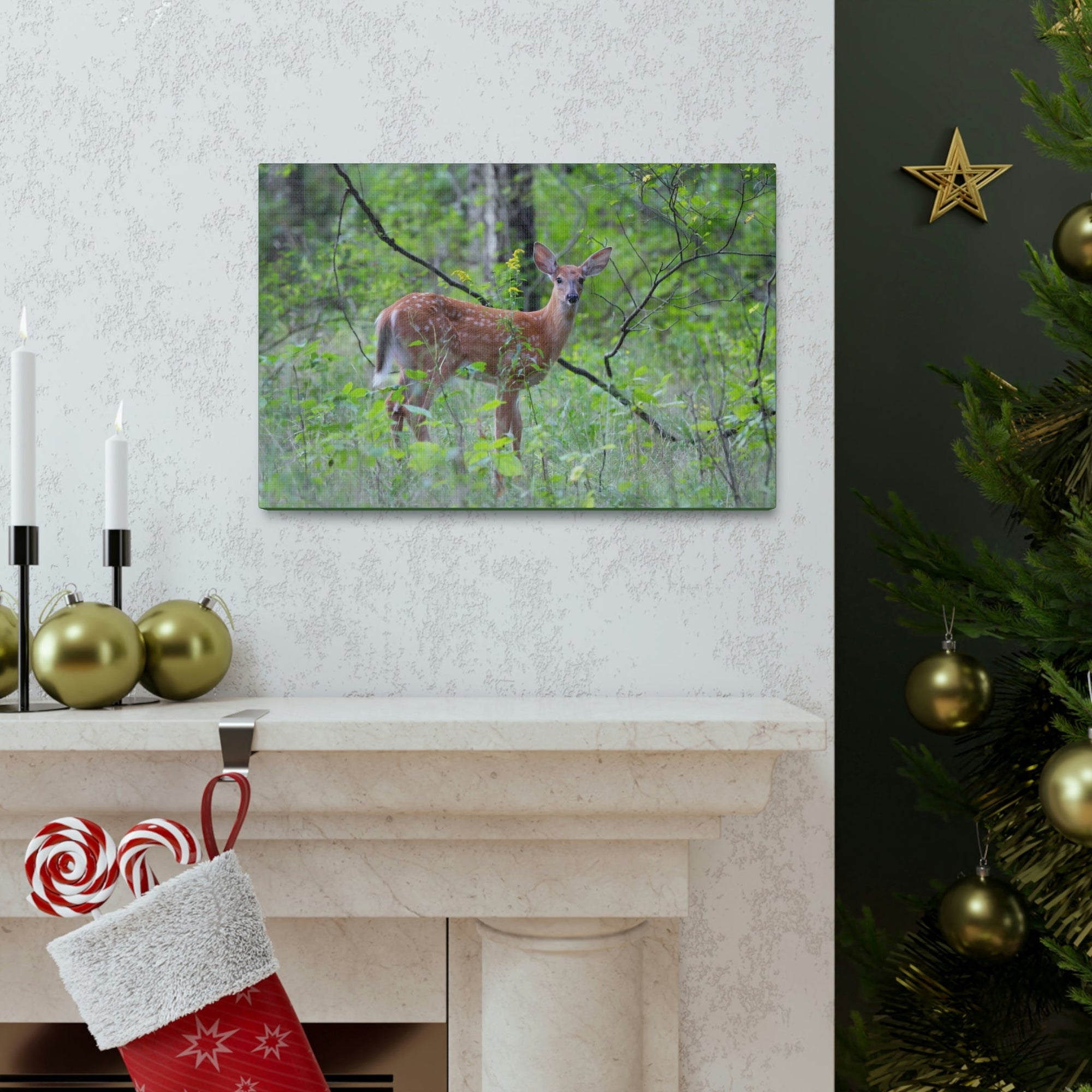 Scripture Walls Majestic White Tailed Deer Art Majestic White Tailed Deer Print Animal Wall Art Wildlife Canvas Prints Wall Art Ready to Hang Unframed-Express Your Love Gifts