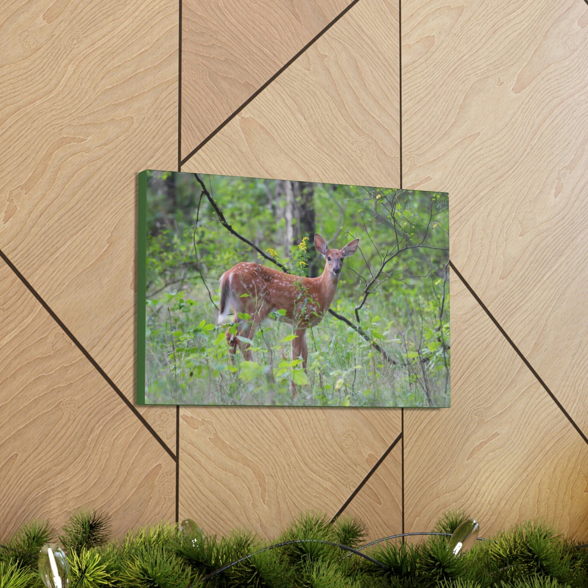 Scripture Walls Majestic White Tailed Deer Art Majestic White Tailed Deer Print Animal Wall Art Wildlife Canvas Prints Wall Art Ready to Hang Unframed-Express Your Love Gifts