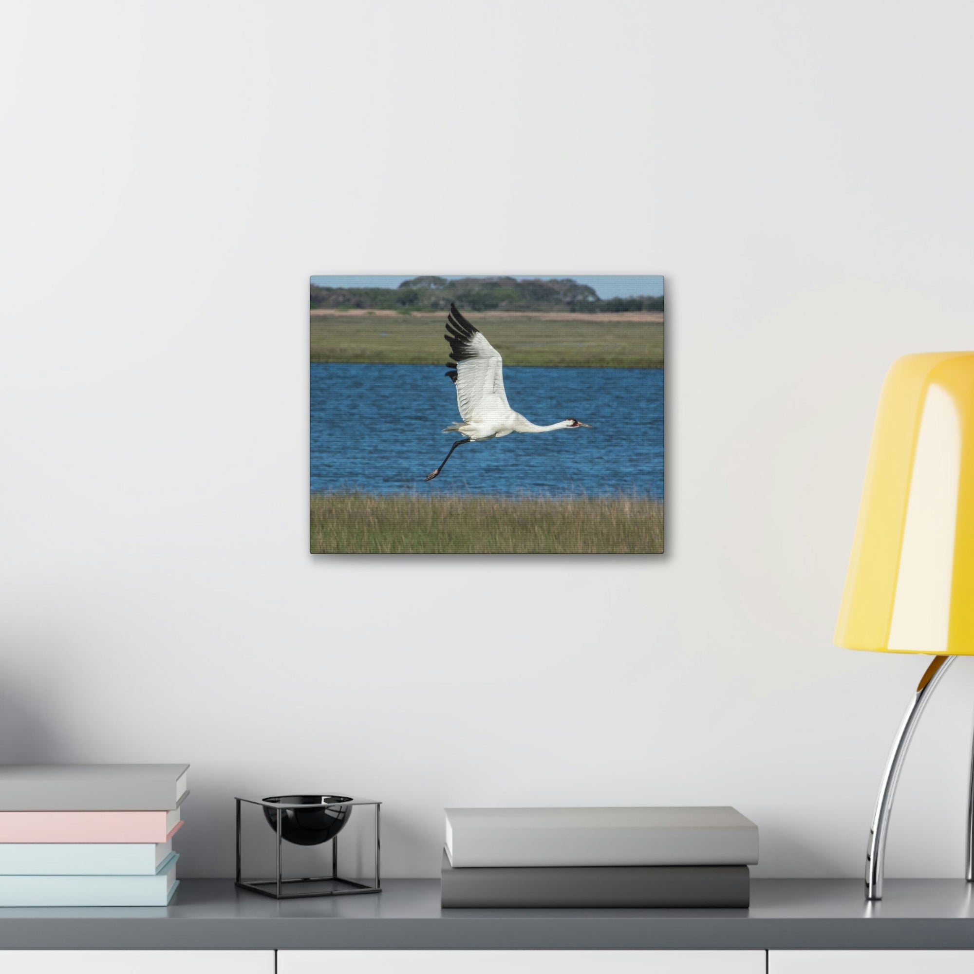 Scripture Walls Majestic Whooping Crane Art Majestic Whooping Crane Print Animal Wall Art Wildlife Canvas Prints Wall Art Ready to Hang Unframed-Express Your Love Gifts