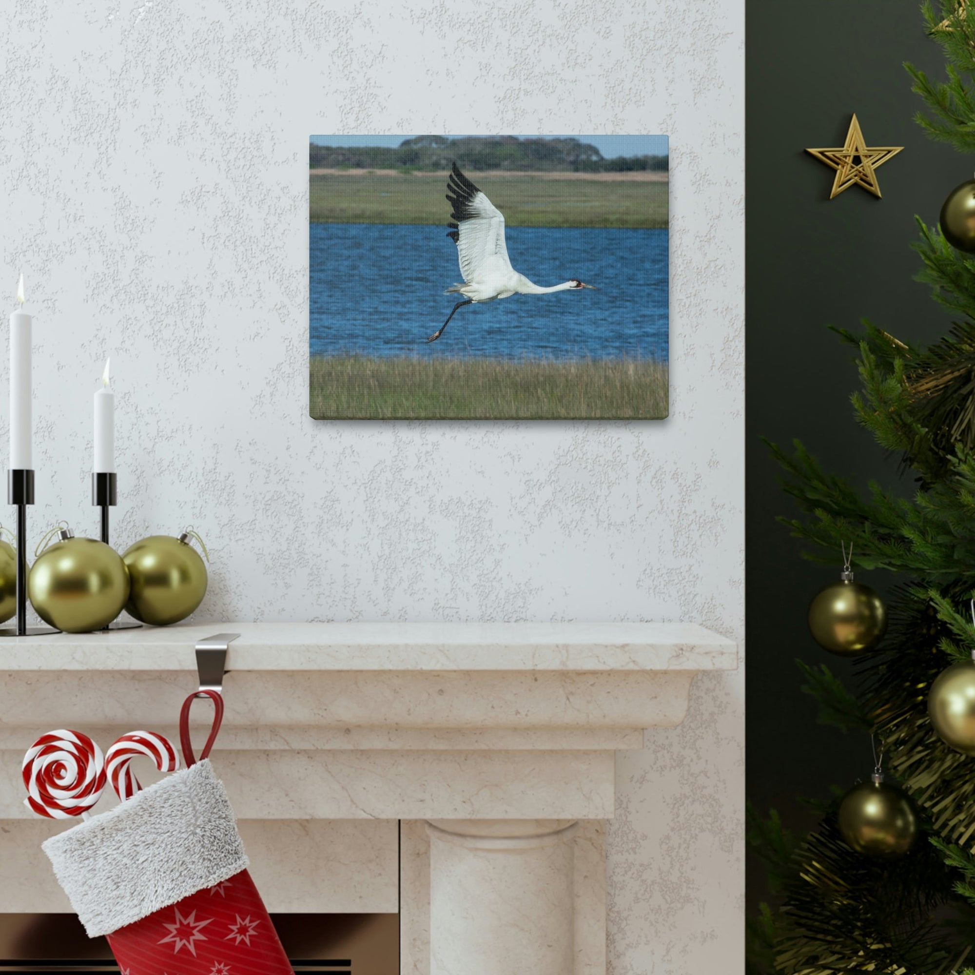 Scripture Walls Majestic Whooping Crane Art Majestic Whooping Crane Print Animal Wall Art Wildlife Canvas Prints Wall Art Ready to Hang Unframed-Express Your Love Gifts