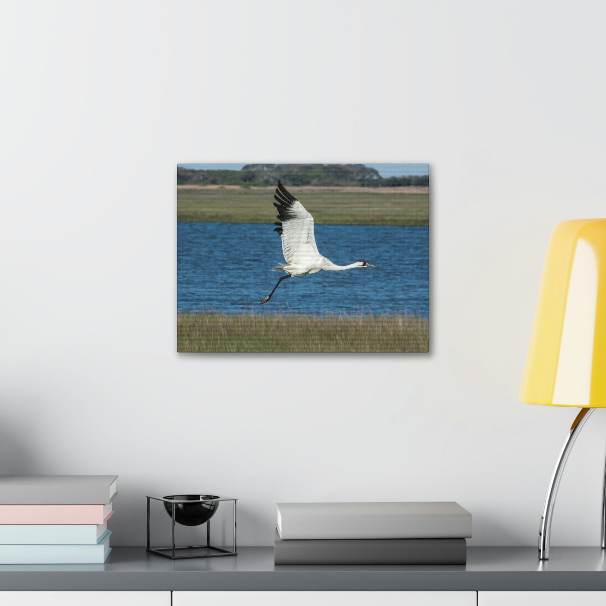 Scripture Walls Majestic Whooping Crane Art Majestic Whooping Crane Print Animal Wall Art Wildlife Canvas Prints Wall Art Ready to Hang Unframed-Express Your Love Gifts