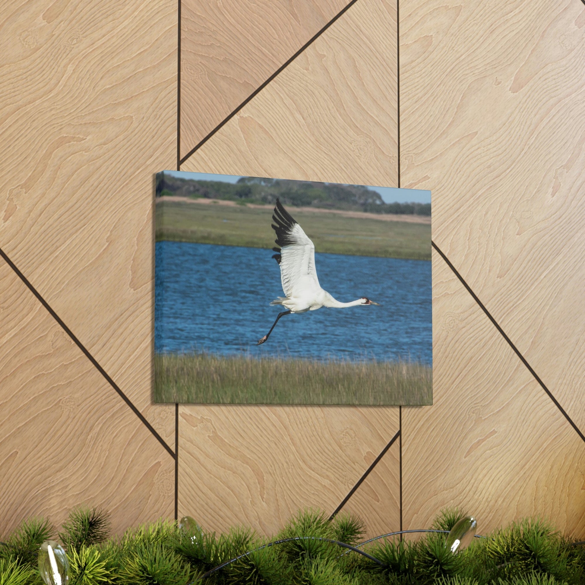 Scripture Walls Majestic Whooping Crane Art Majestic Whooping Crane Print Animal Wall Art Wildlife Canvas Prints Wall Art Ready to Hang Unframed-Express Your Love Gifts