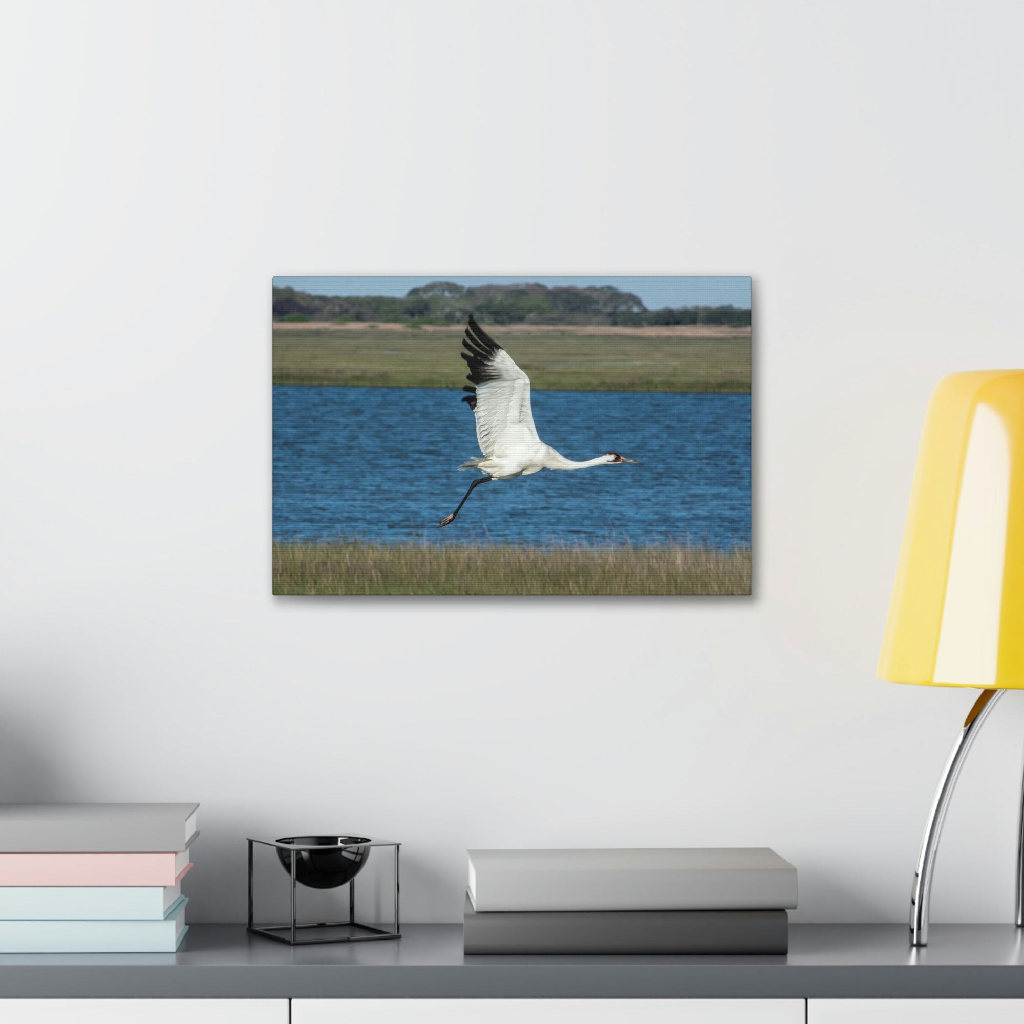 Scripture Walls Majestic Whooping Crane Art Majestic Whooping Crane Print Animal Wall Art Wildlife Canvas Prints Wall Art Ready to Hang Unframed-Express Your Love Gifts