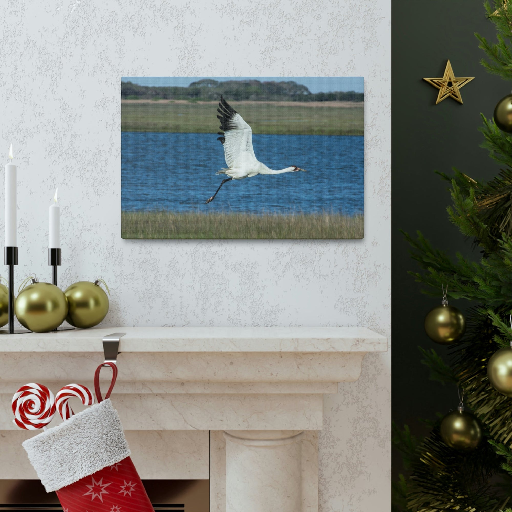 Scripture Walls Majestic Whooping Crane Art Majestic Whooping Crane Print Animal Wall Art Wildlife Canvas Prints Wall Art Ready to Hang Unframed-Express Your Love Gifts